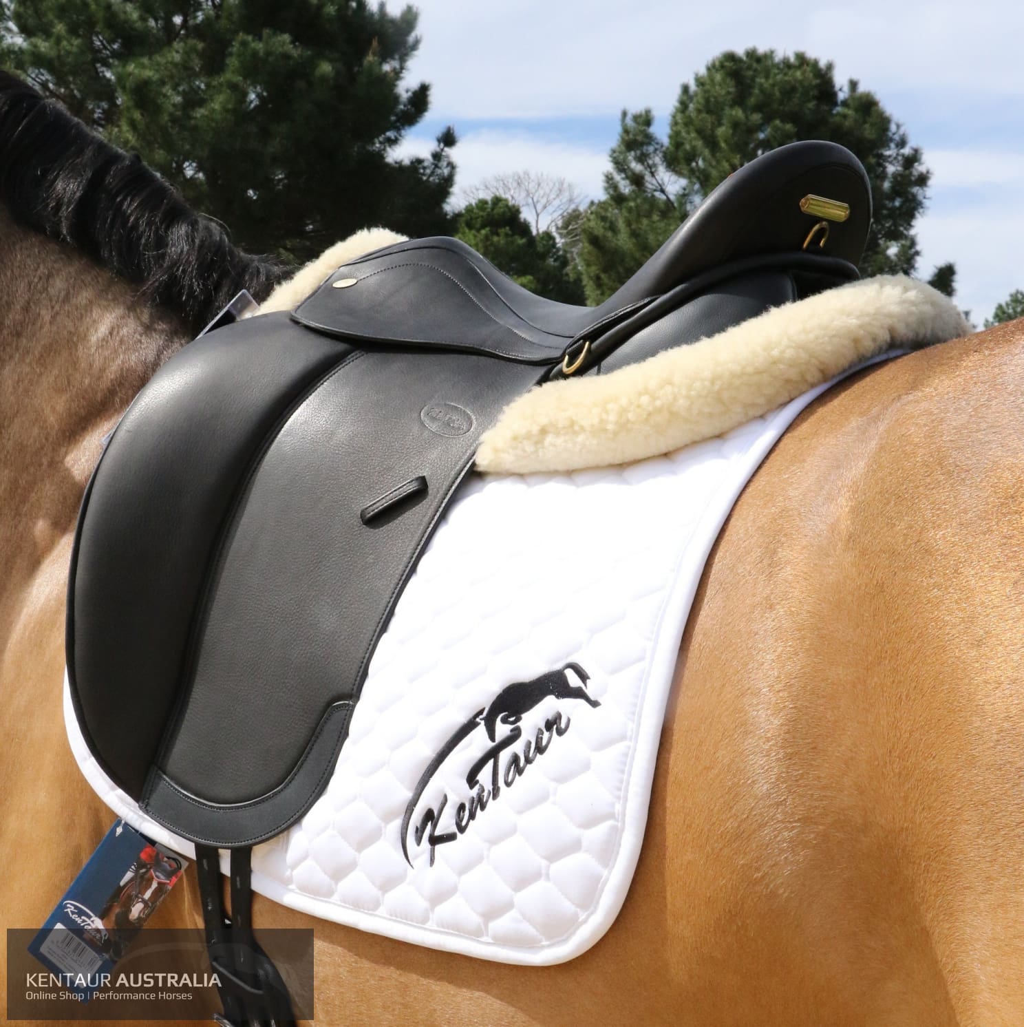 Kentaur Medea Dressage Saddle Saddles