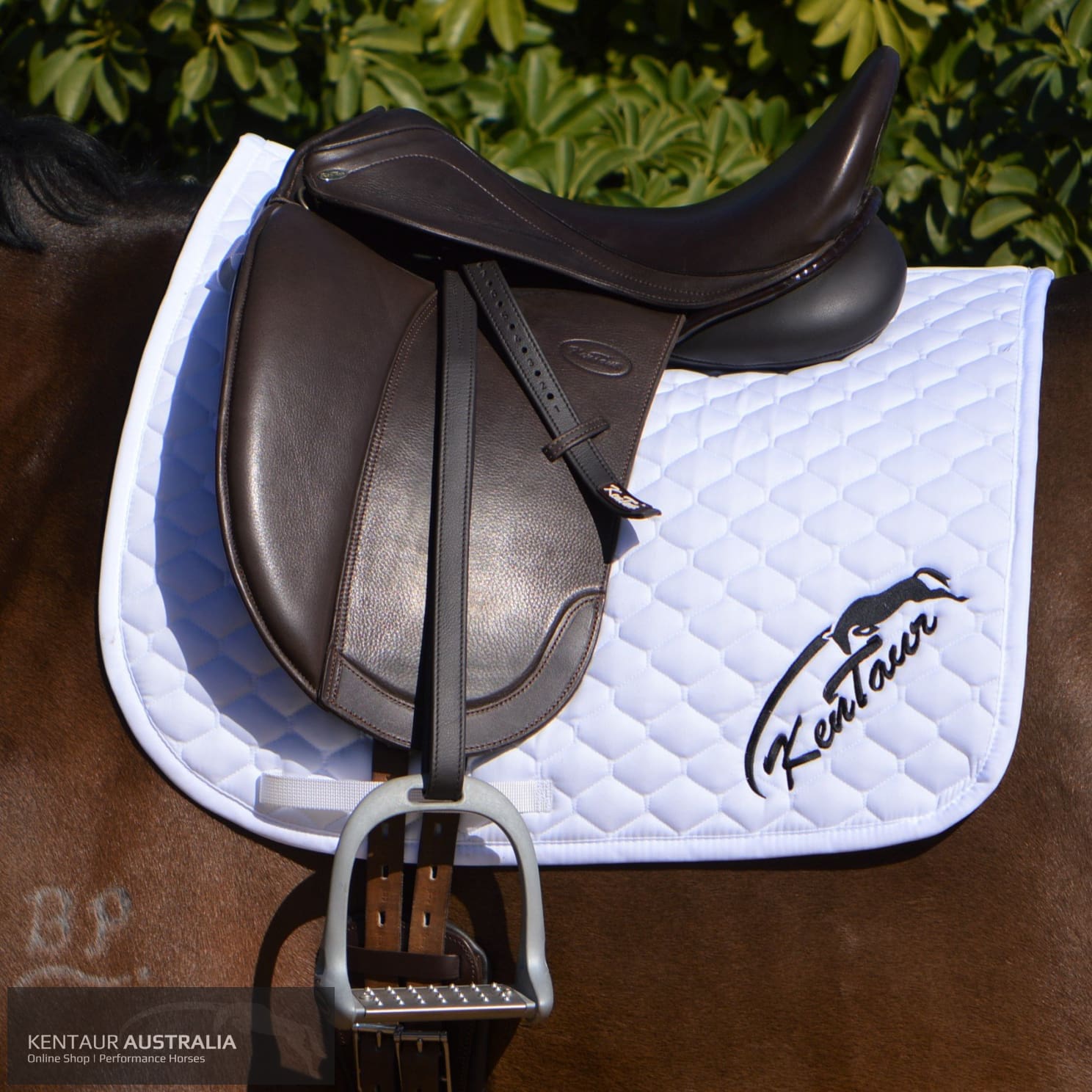 Kentaur Medea Dressage Saddle Saddles