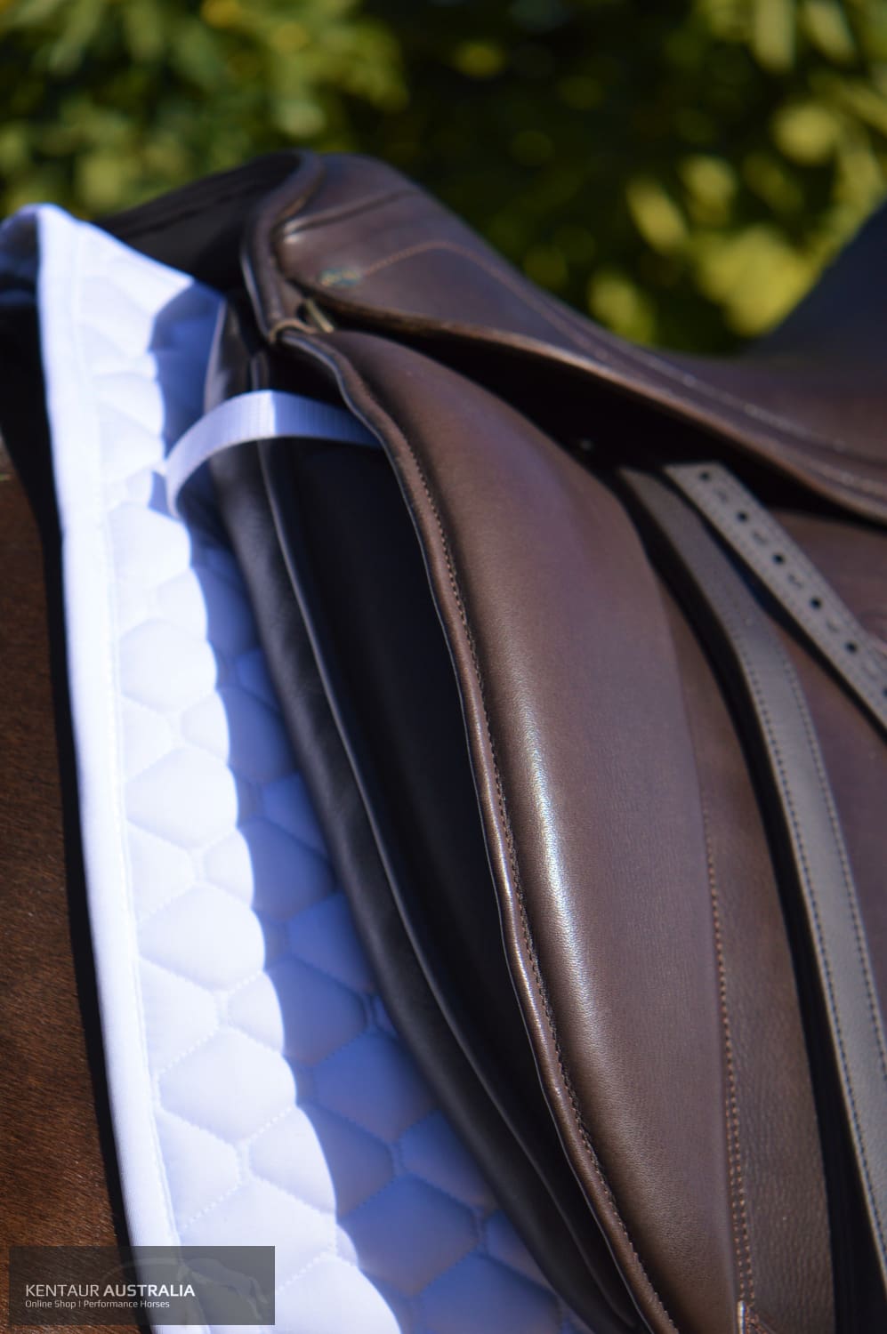 Kentaur Medea Dressage Saddle Saddles