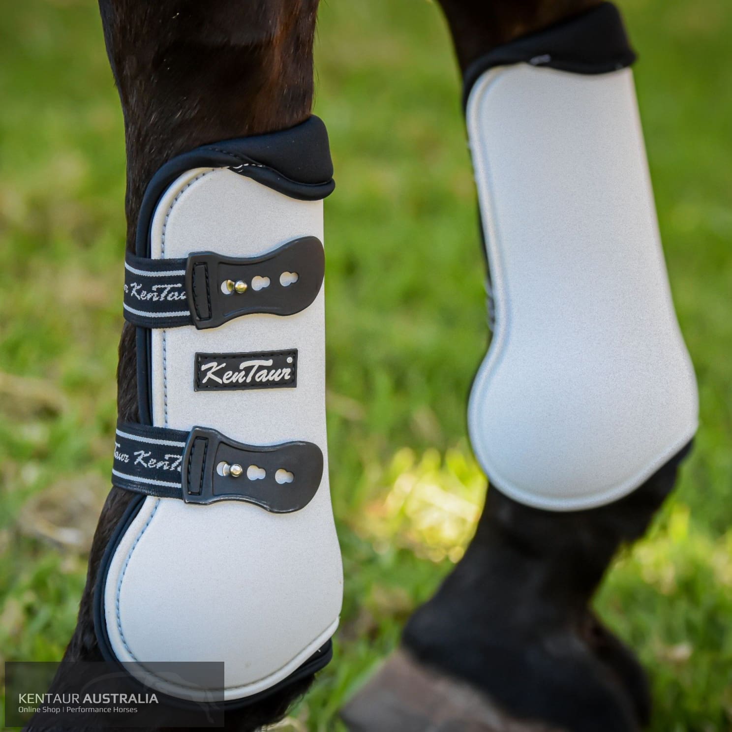 Horse on sale jumping boots