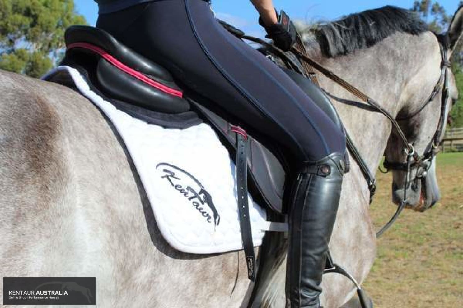 Kentaur Memory Foam Half-Pad Saddle Pad