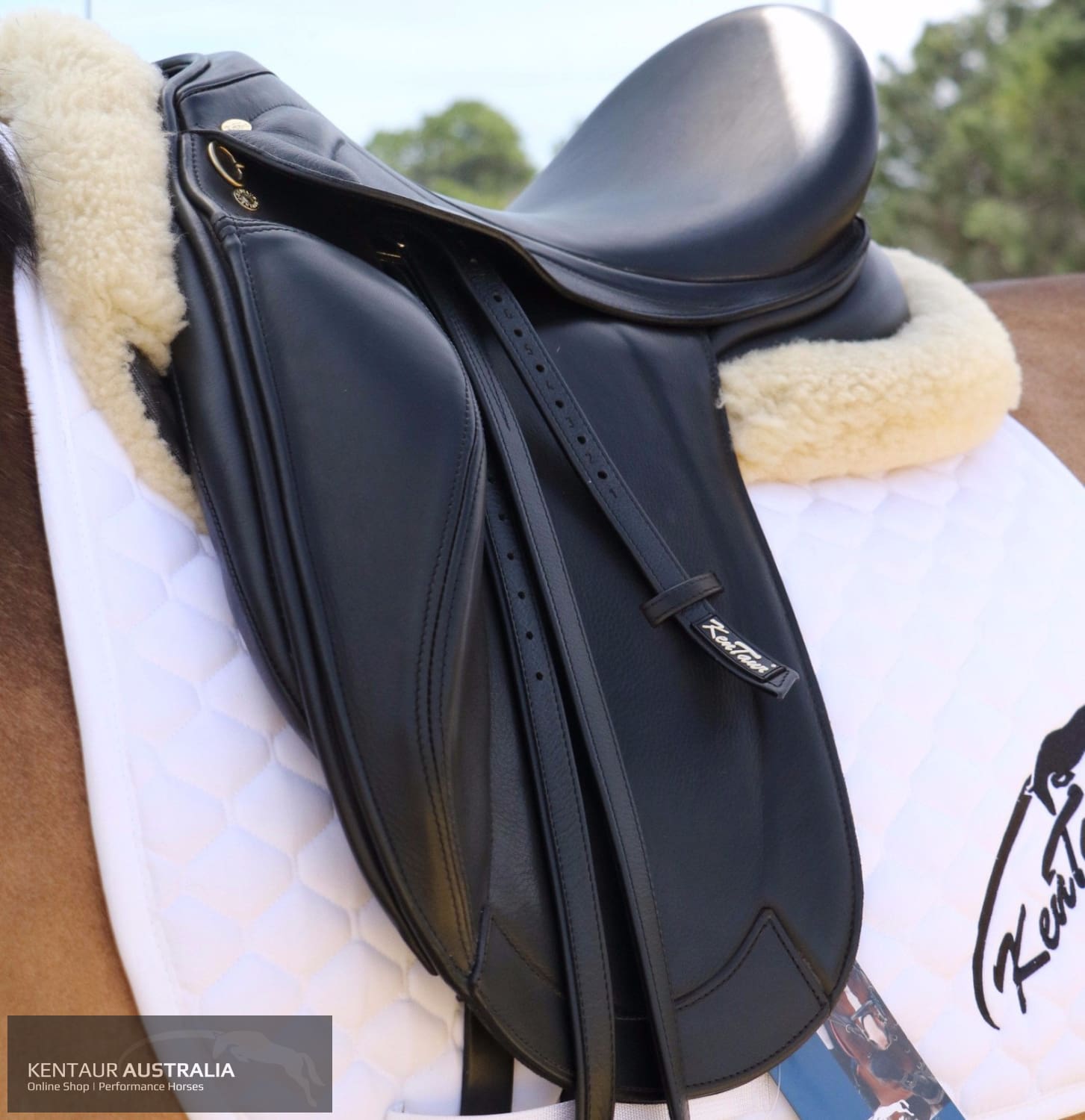 Kentaur Mono Pro Dressage Saddle Saddles