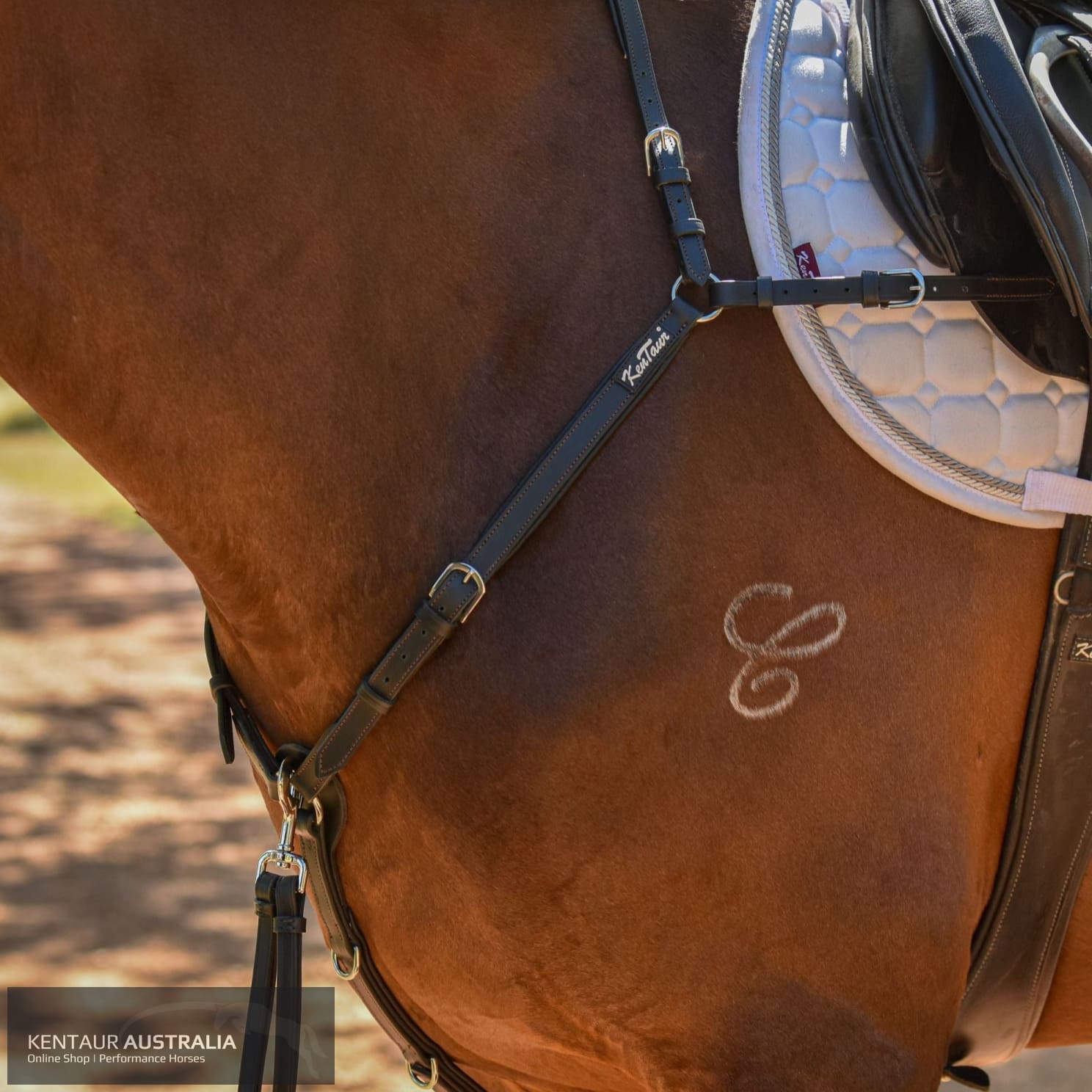 Kentaur ’Mons’ Breastplate Black / Full Breastplates