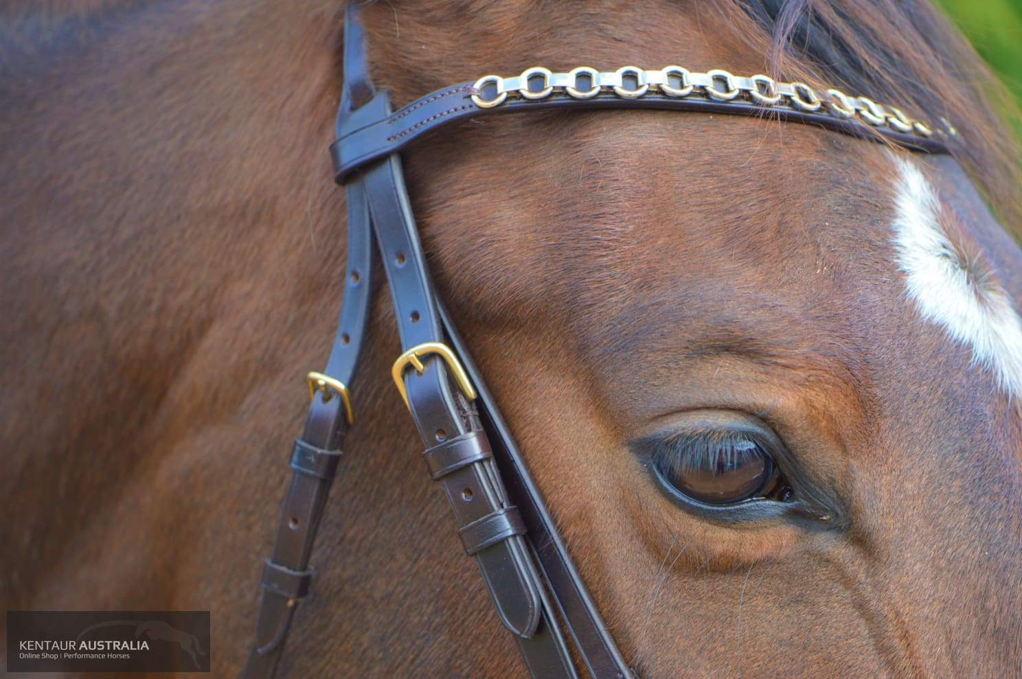 Kentaur Grackle Bridle With Chain Link Browband Bridles