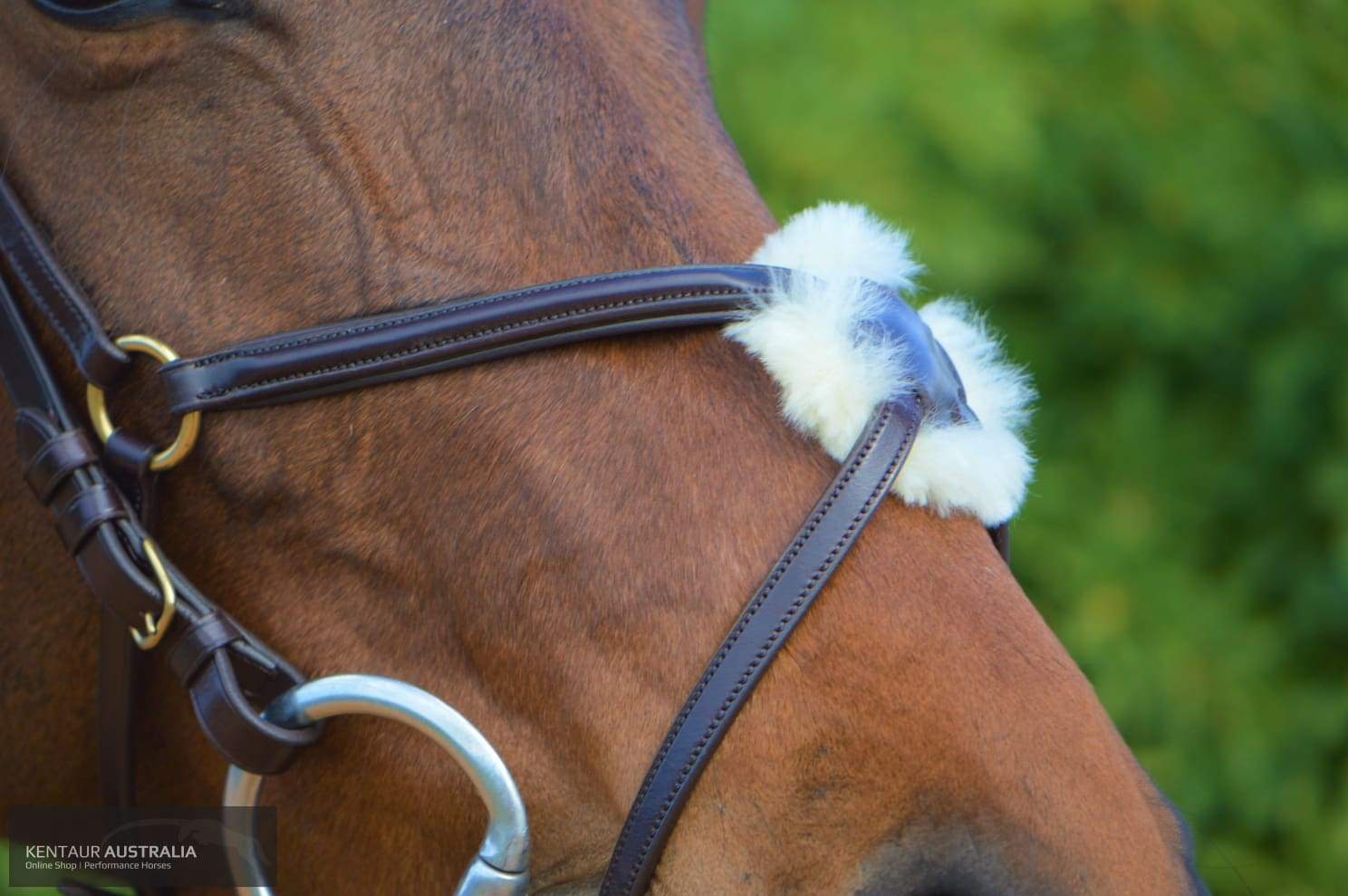 Kentaur Grackle Bridle With Chain Link Browband Bridles