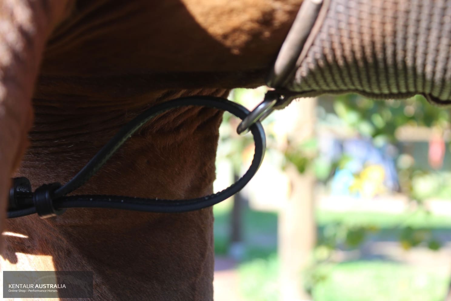 Kentaur ’Napoli’ Breastplate with Coloured Piping Breastplates