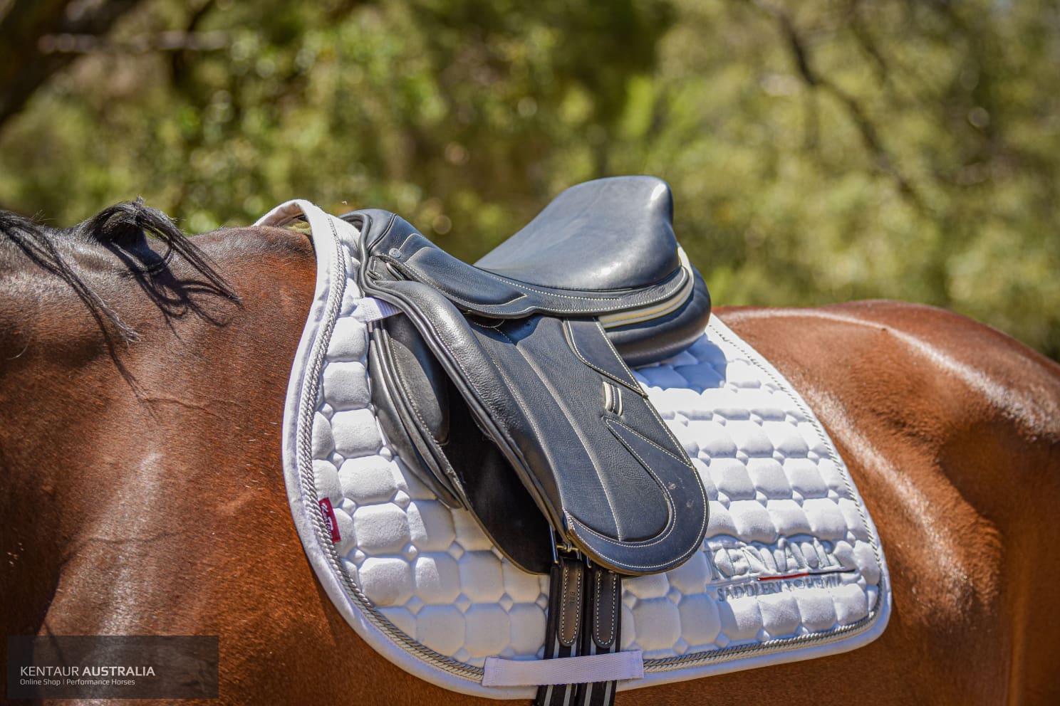 Kentaur ‘Naxos’ Jumping Saddle Jumping Saddles