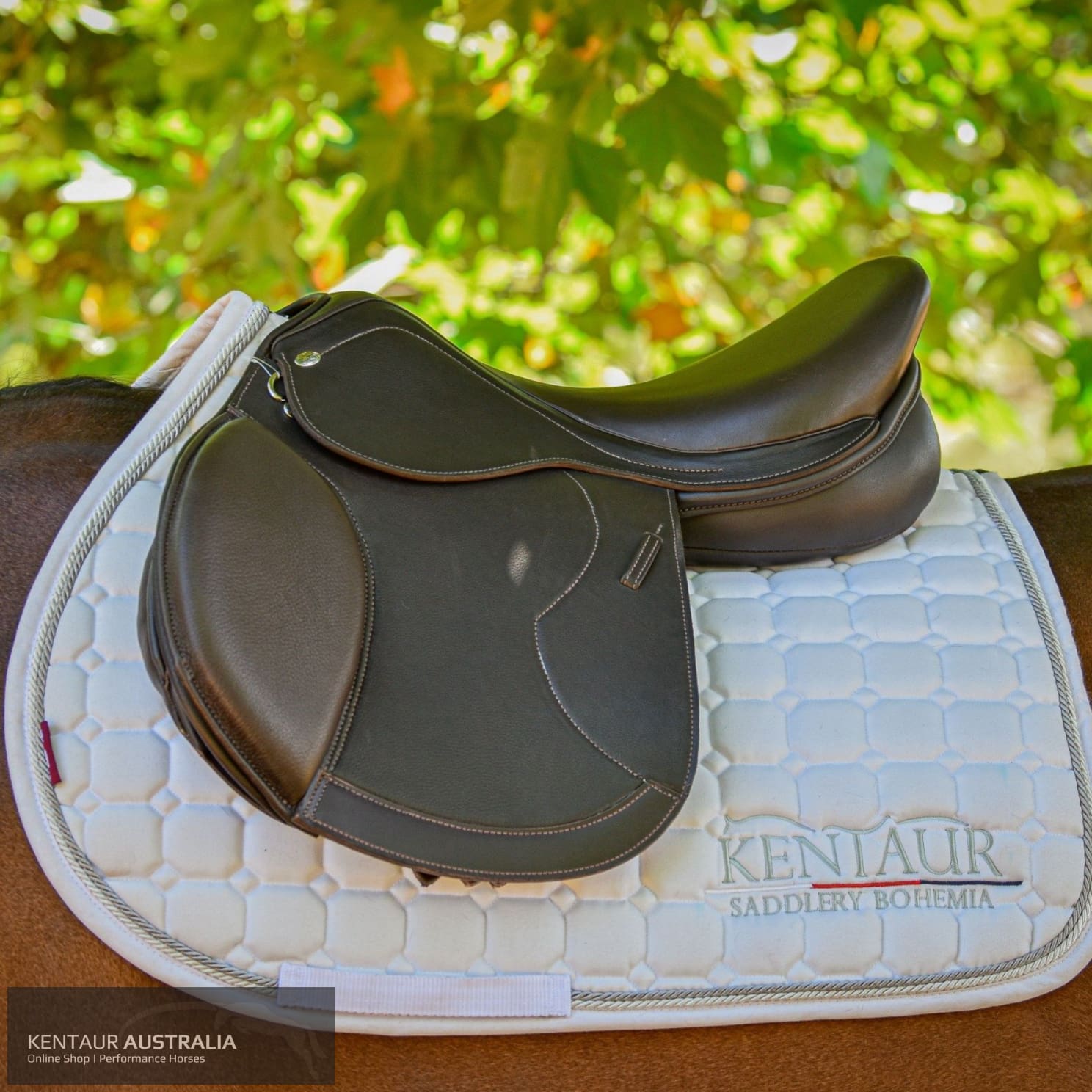 Kentaur Australia Kentaur 'Naxos' Jumping Saddle