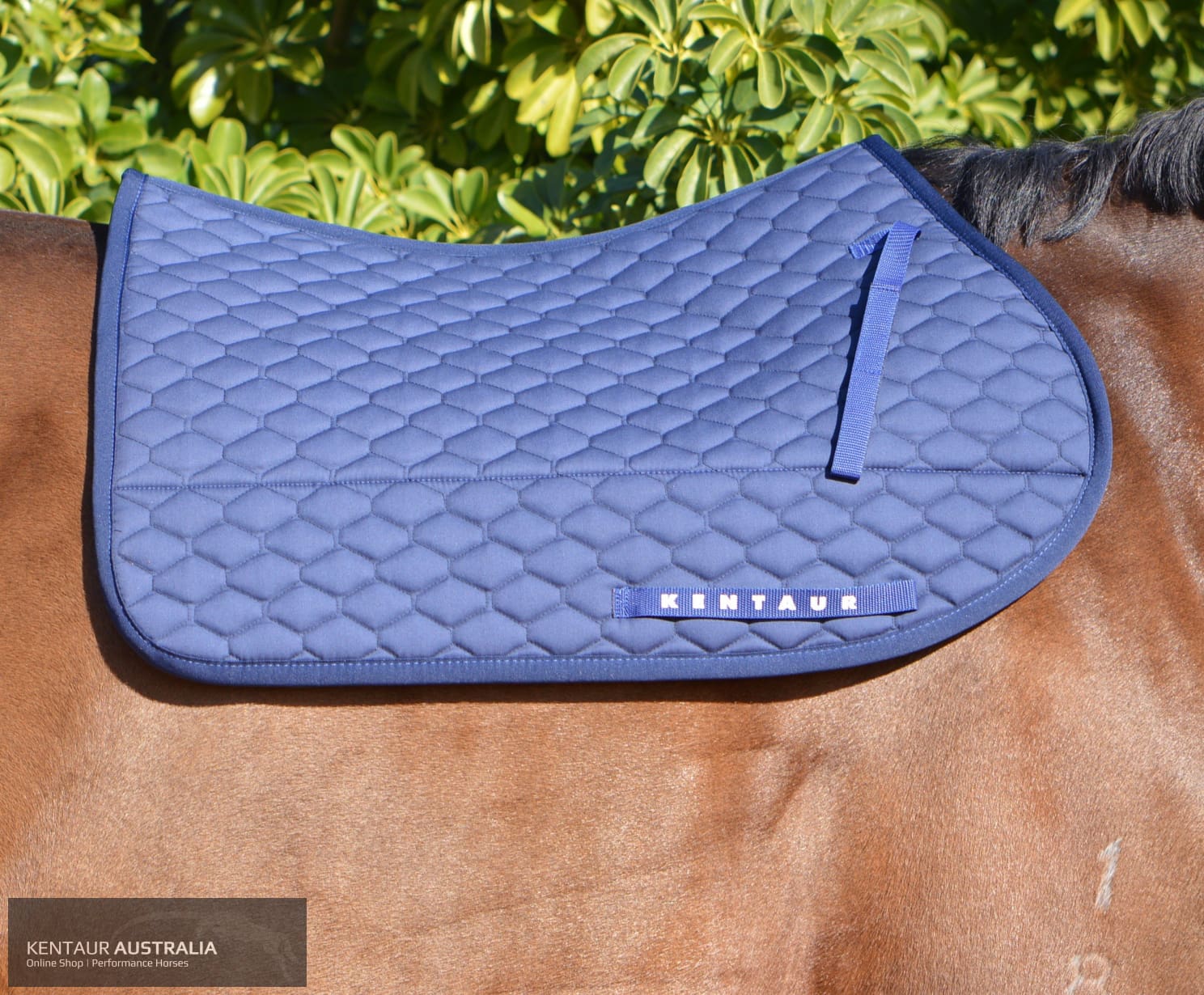 Kentaur Neo Non Slip Saddle Pad Navy / Jumping - Gel Insert