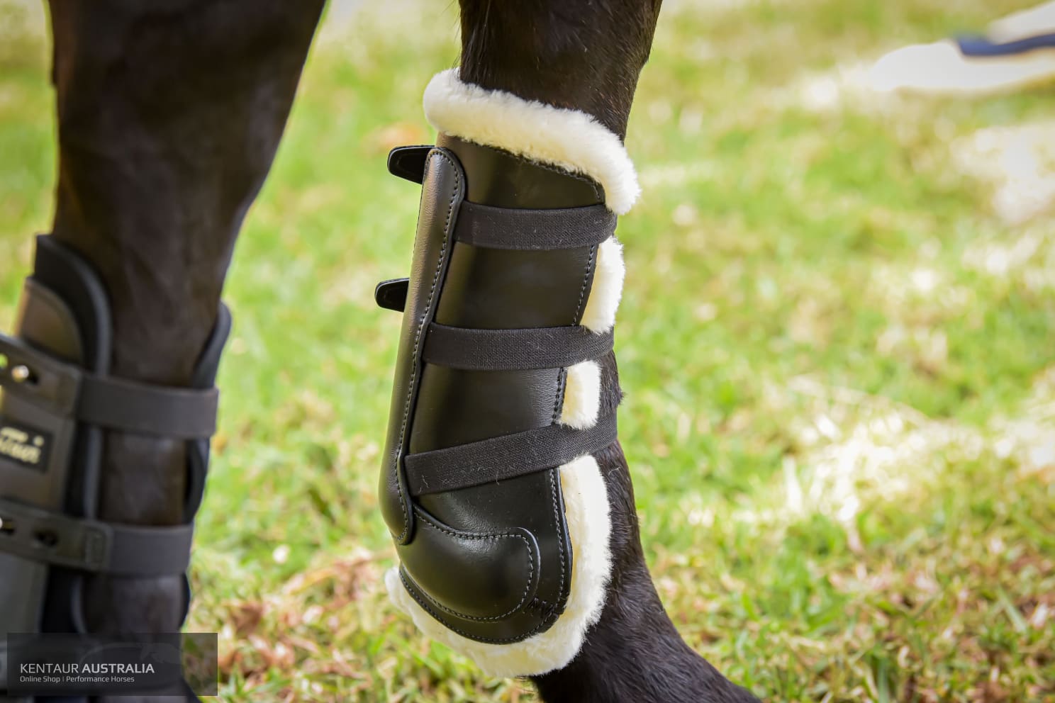 Kentaur ‘Oxford’ Front Sheepskin Show Jumping Boots Jumping Boots