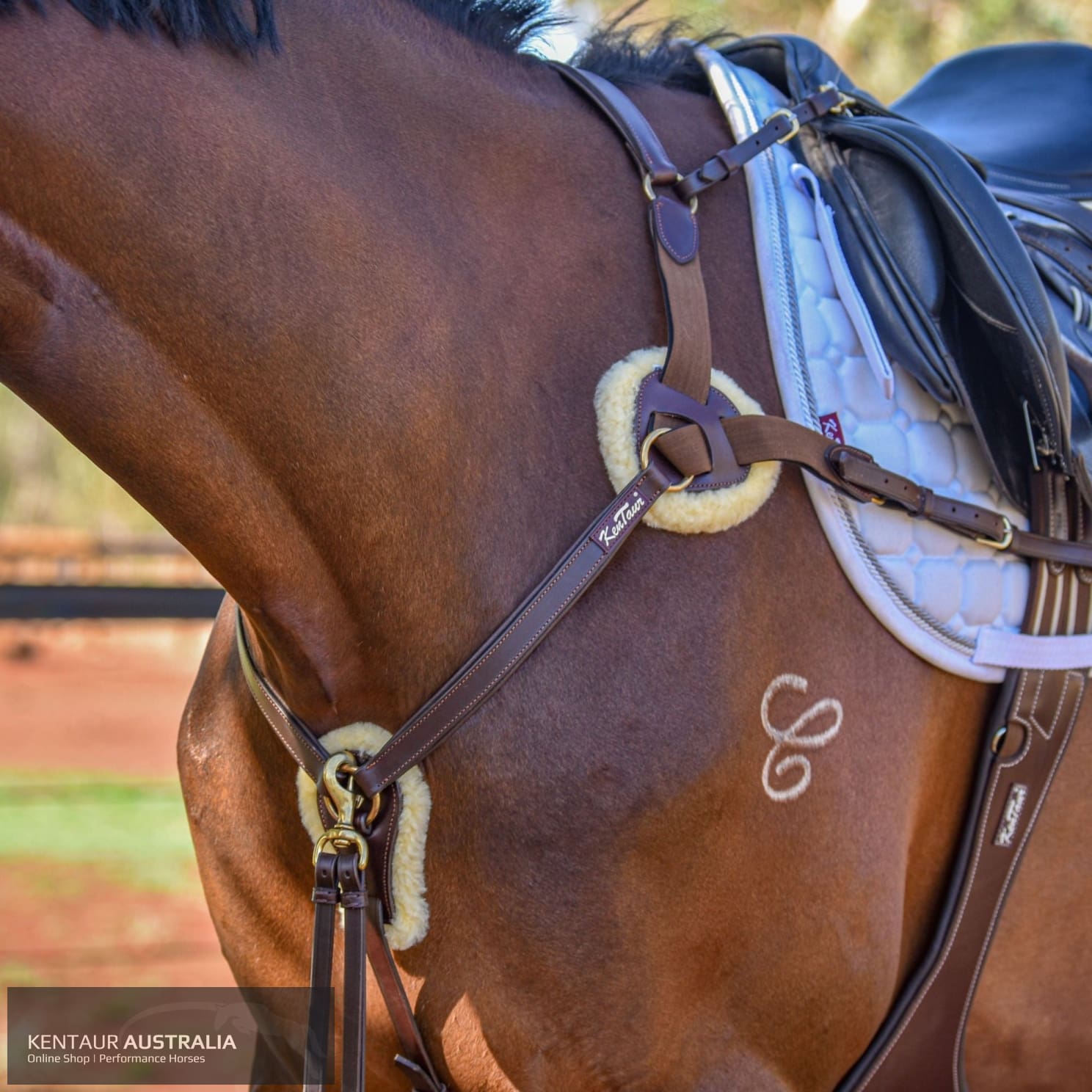 Kentaur ’Palermo’ Breastplate Brown / Full Breastplates