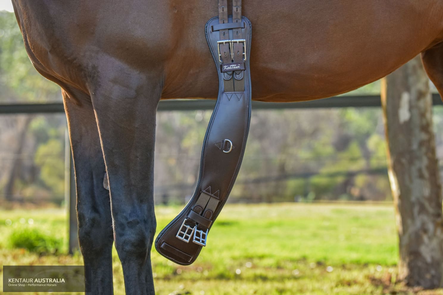 Kentaur ‘Parma’ Dressage Girth Dressage Girth