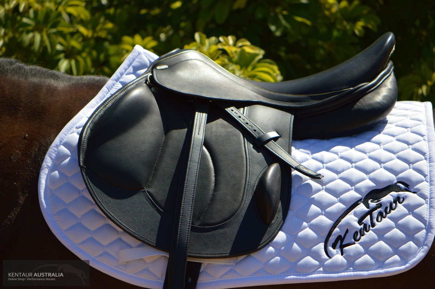 Kentaur Performer Eventing Saddle Jumping Saddles