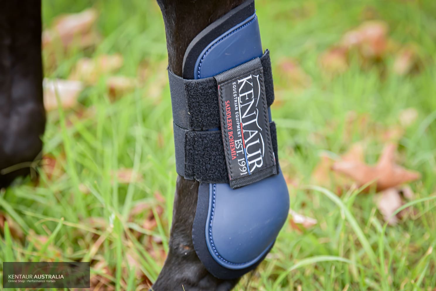 Kentaur ‘Profi’ Front Jumping Boots Navy / WB Jumping Boots