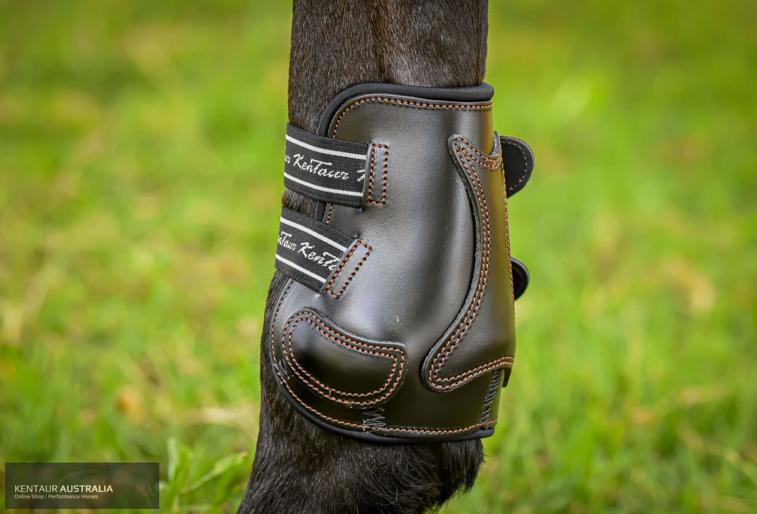 Kentaur ’Roma Flicker’ Hind Boots Training Jumping Boots