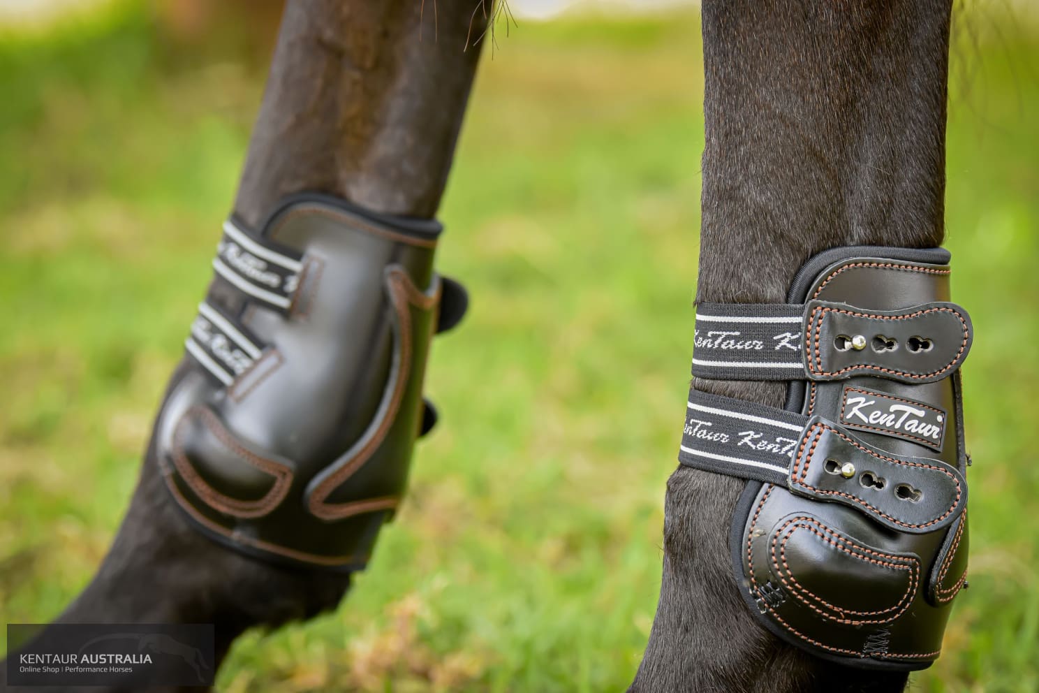 Kentaur ’Roma Flicker’ Hind Boots Training Jumping Boots