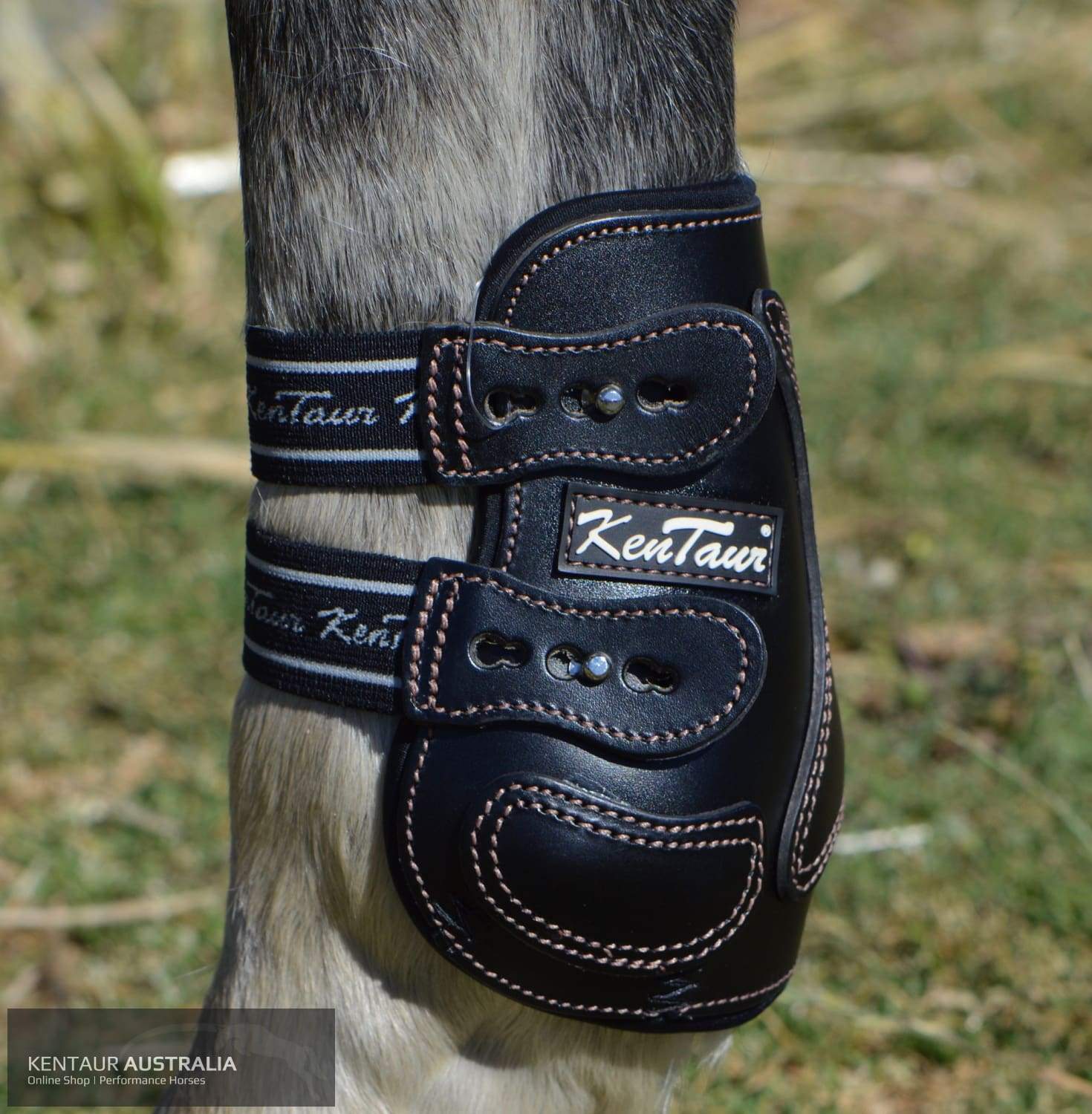 Kentaur Roma Flicker Hind Boots Black / Full Training Jumping Boots