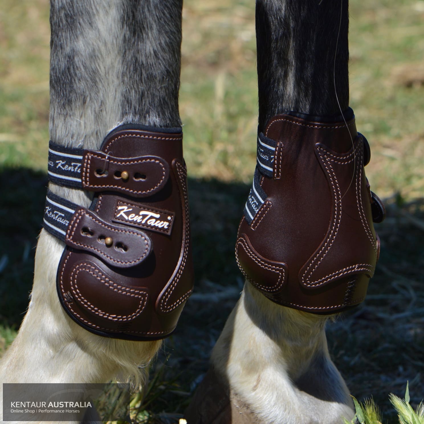 Kentaur Roma Flicker Hind Boots Brown / Full Training Jumping Boots