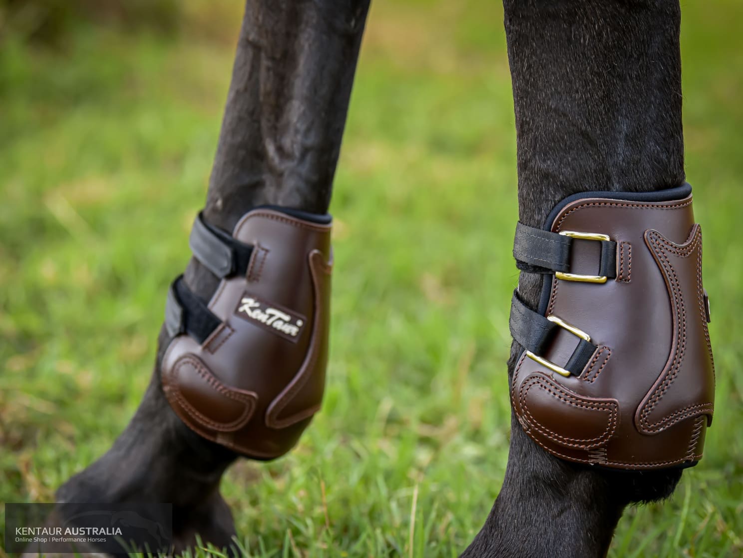 Kentaur ‘Roma Pinch’ Rear Boots Training Jumping Boots