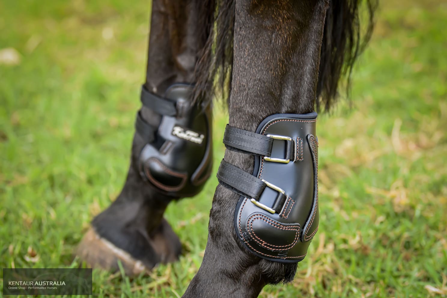 Kentaur ‘Roma Pinch’ Rear Boots Training Jumping Boots