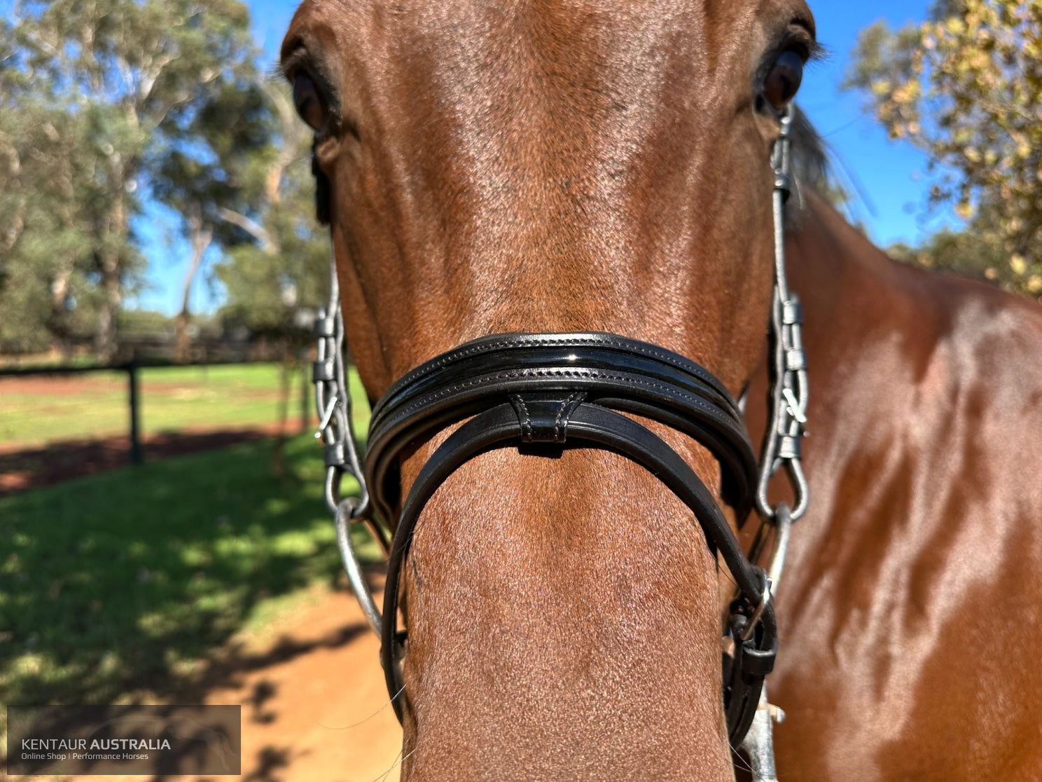 Kentaur ’Savannah’ Bridle Bridles