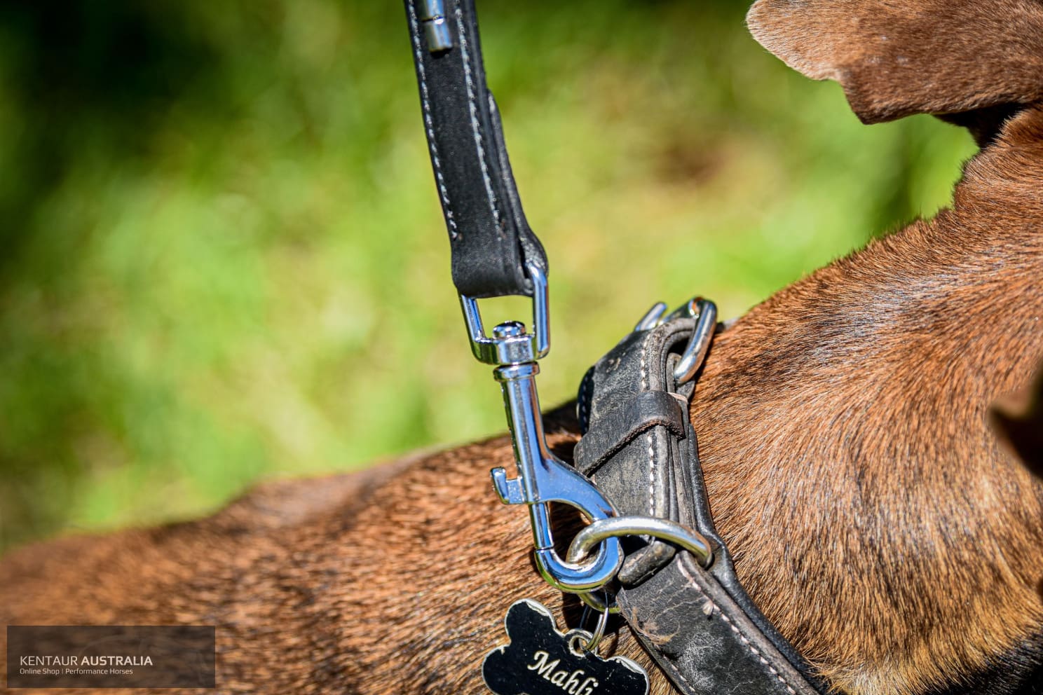 Kentaur ’Semi-Roll’ Dog lead Dog Lead