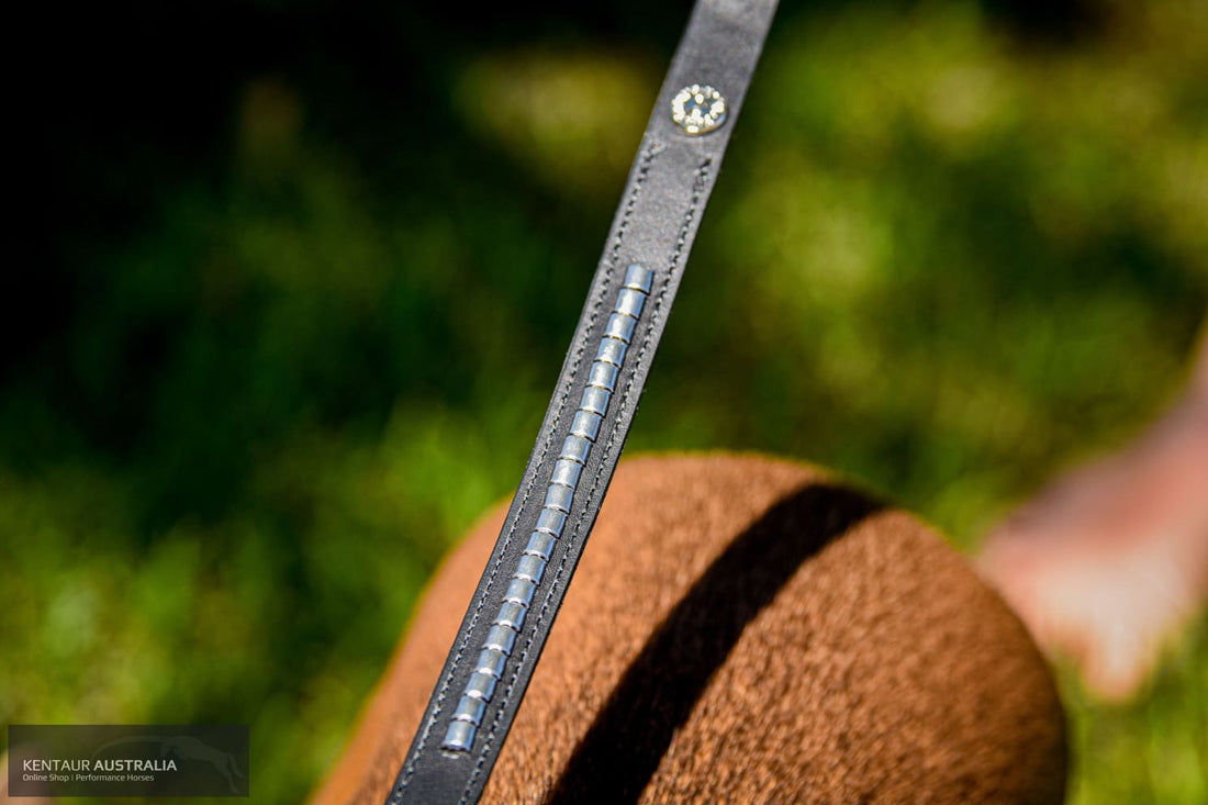 Kentaur ’Semi-Roll’ Dog lead Dog Lead