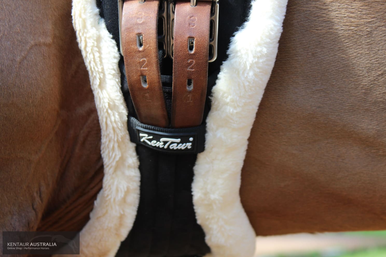 Kentaur ’Stockholm’ Dressage Girth Dressage Girth