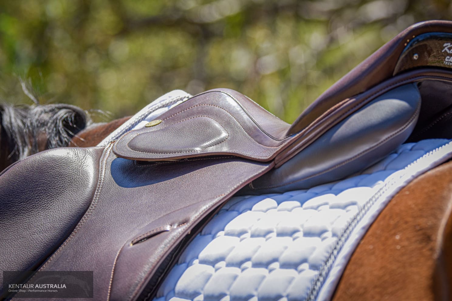 Kentaur ‘Titan’ Jumping Saddle Jumping Saddles