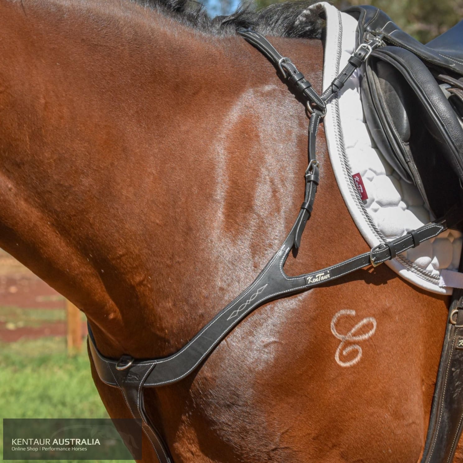 Kentaur ’Torino’ Breastplate Black / Full Breastplates