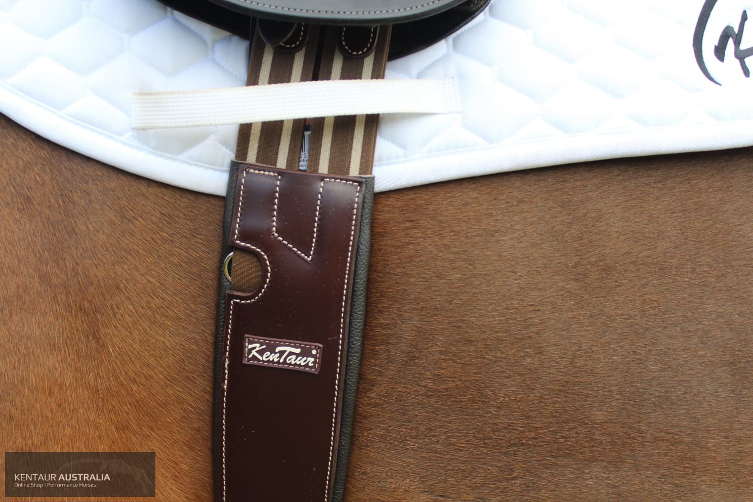 Kentaur Verona Jumping Girth Dark Brown / 90Cm Jumping Girths