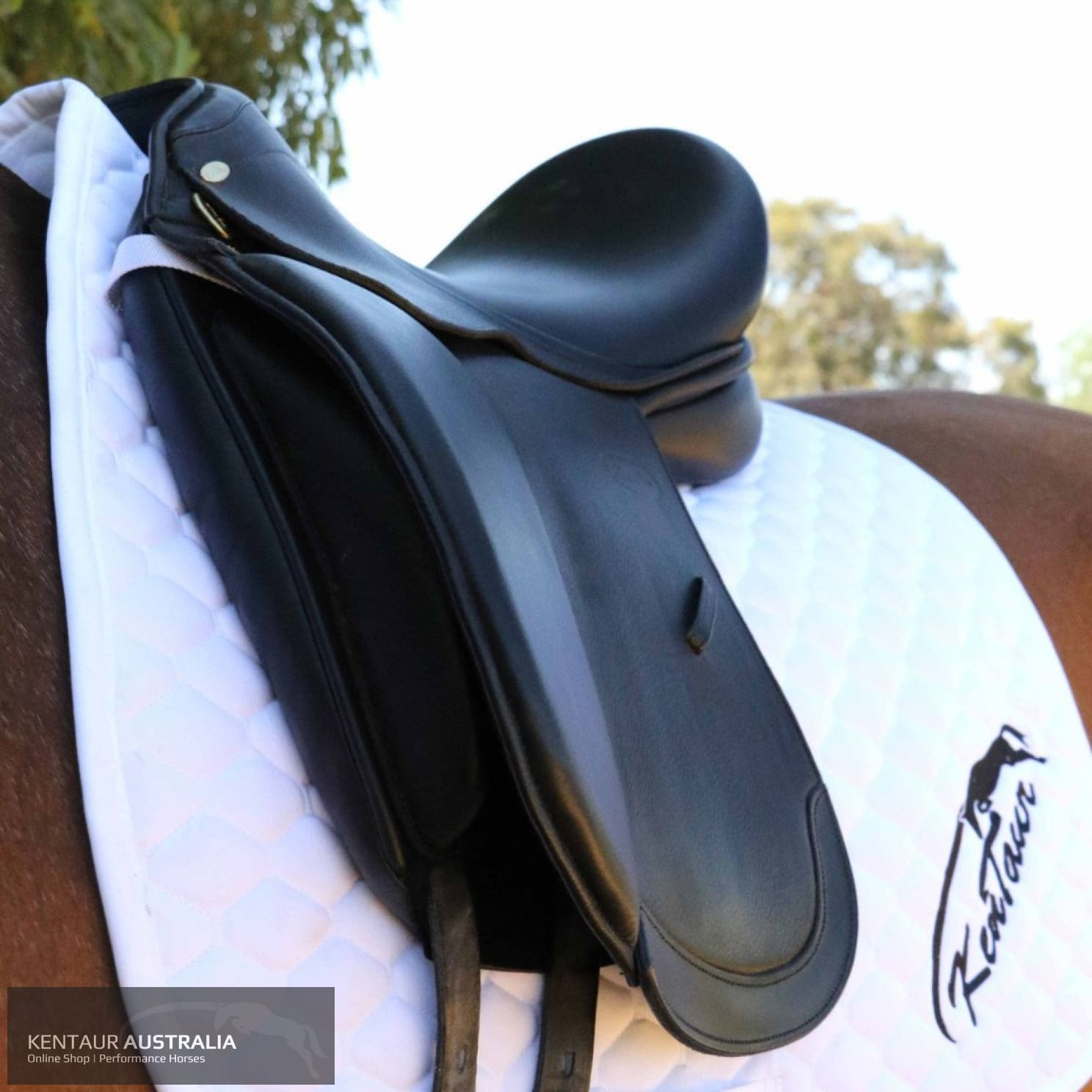 Kentaur Young Dressage DC Saddle Black Dressage Saddles