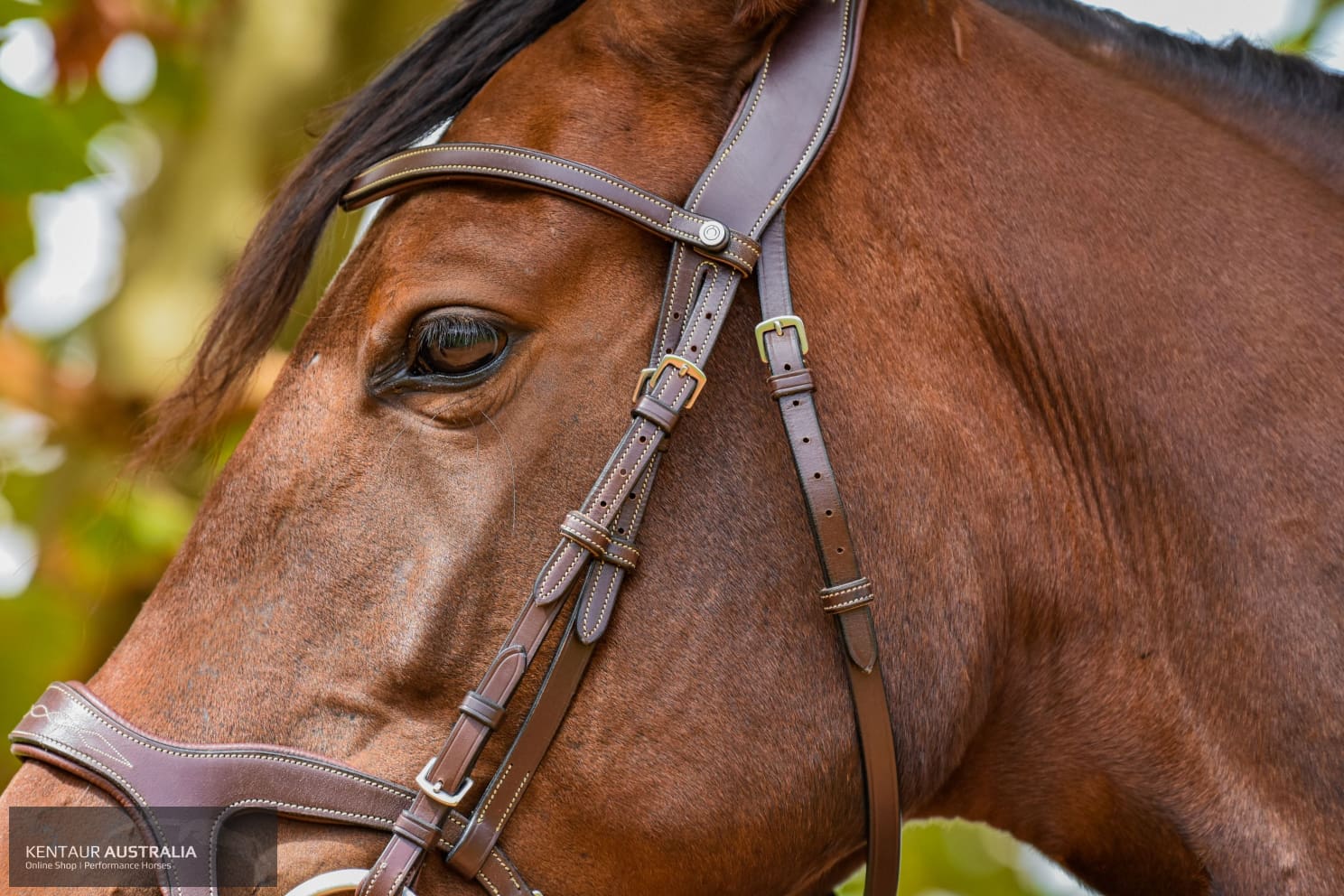 Montar ’Excellence’ Bridle Bridles