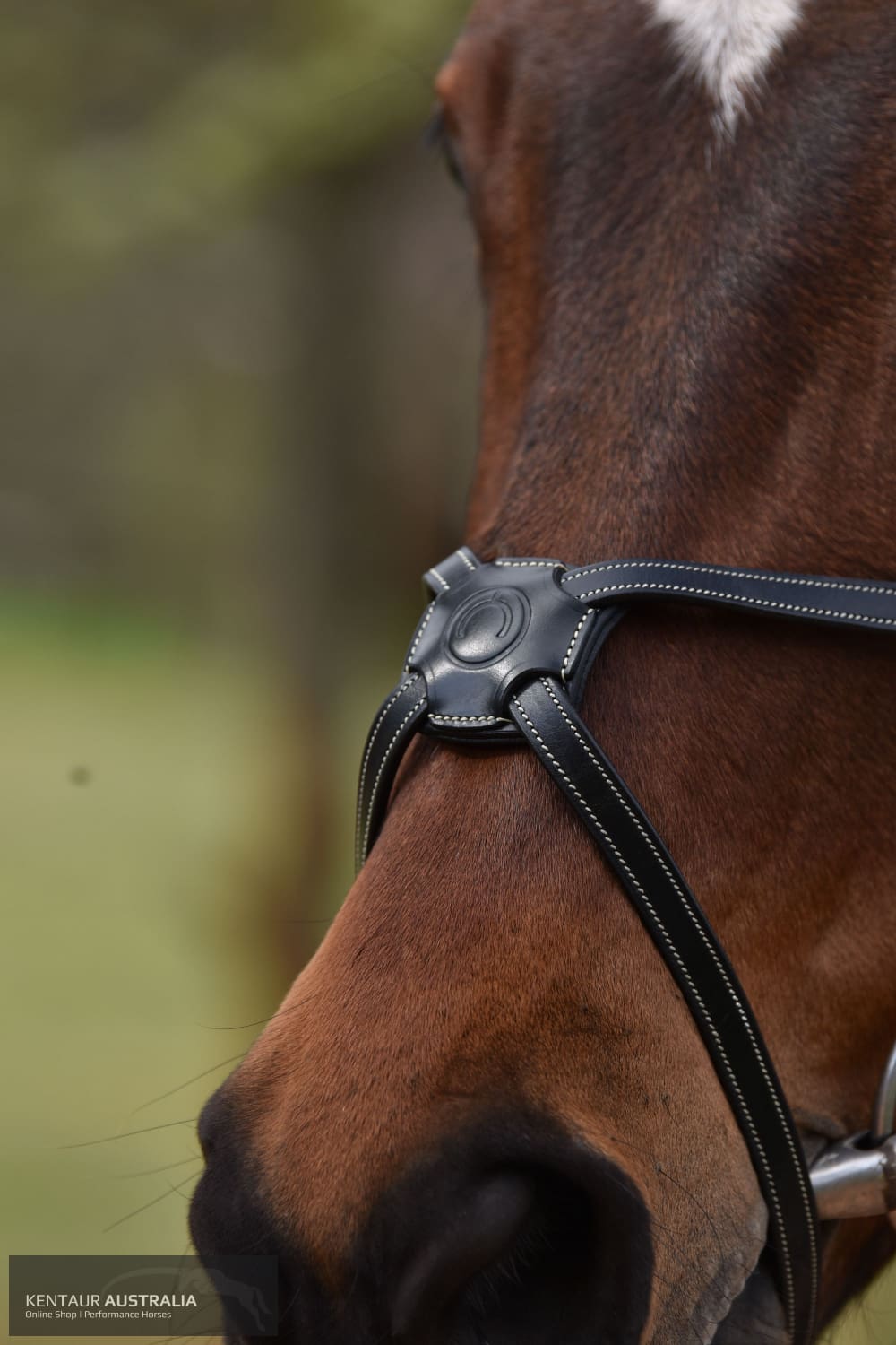 Montar ’Lyon’ Bridle Bridles