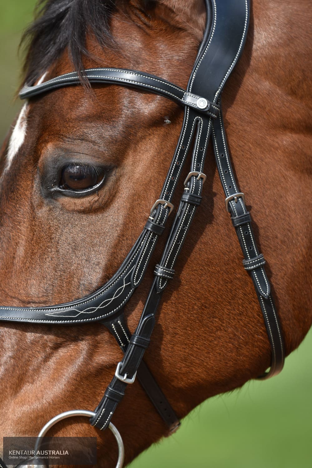 Montar ’Lyon’ Bridle Bridles