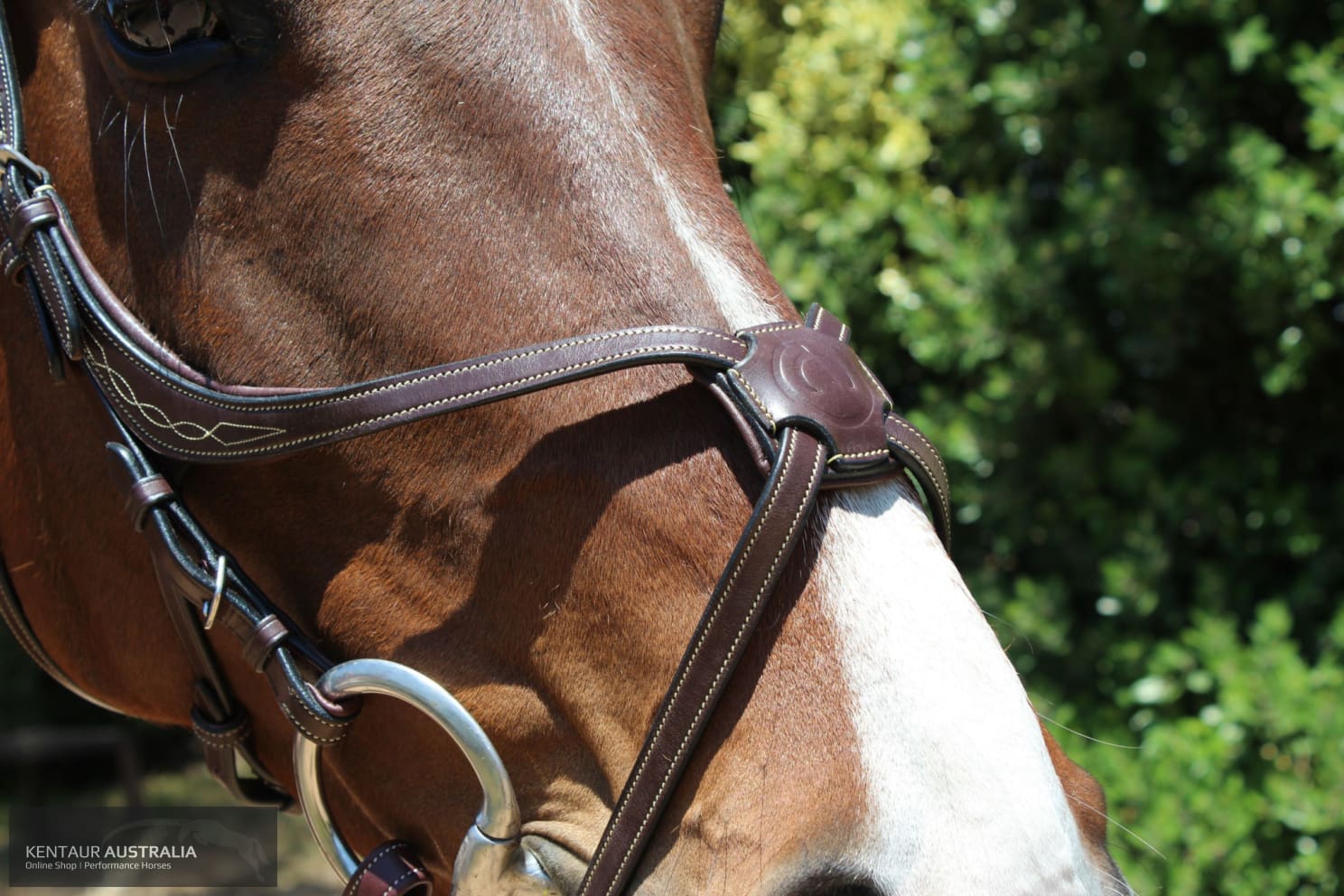 Montar Lyon Bridle Bridles