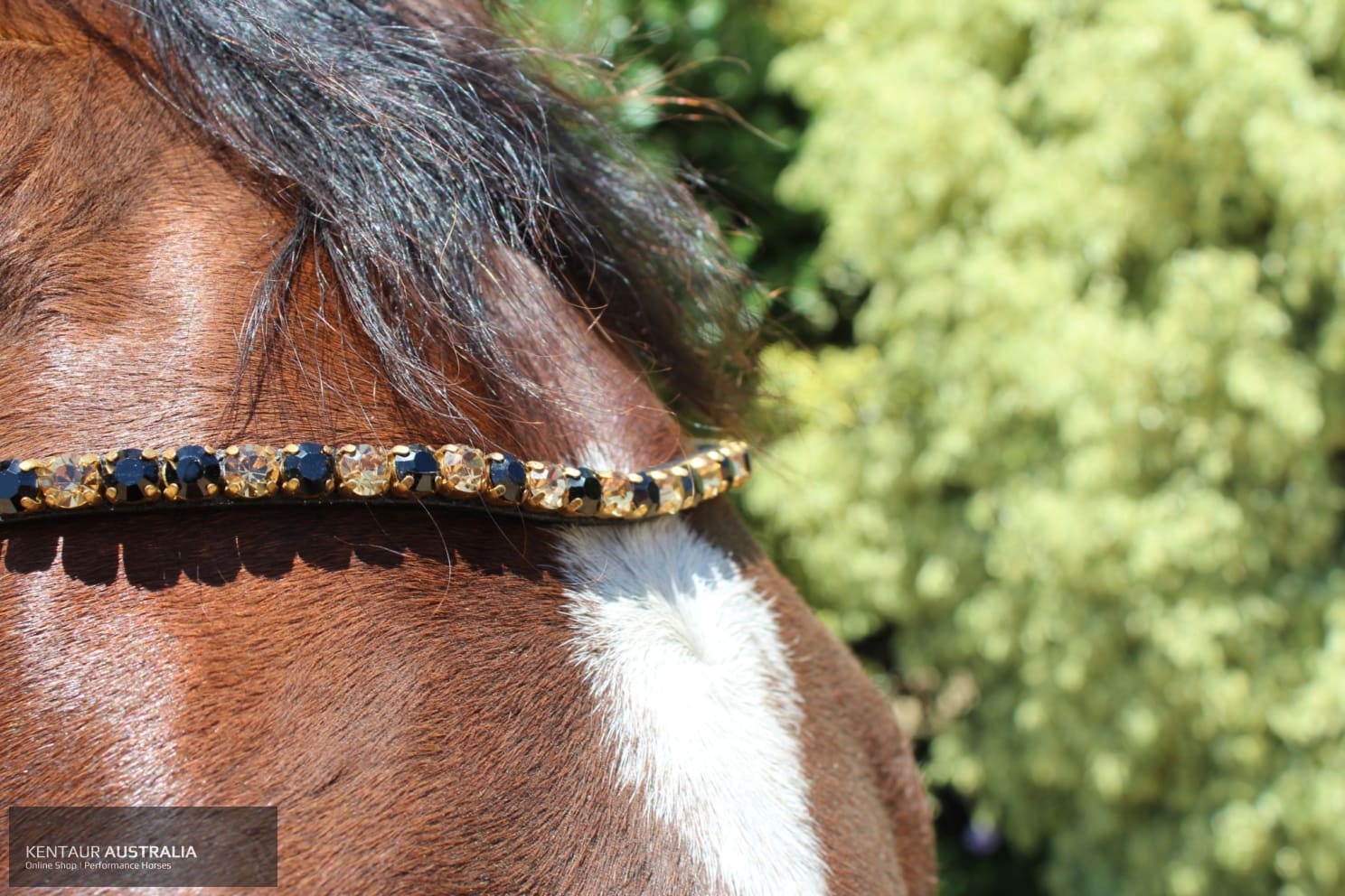 Montar Mighty Browband Black/Golden / Full / Black Bridles