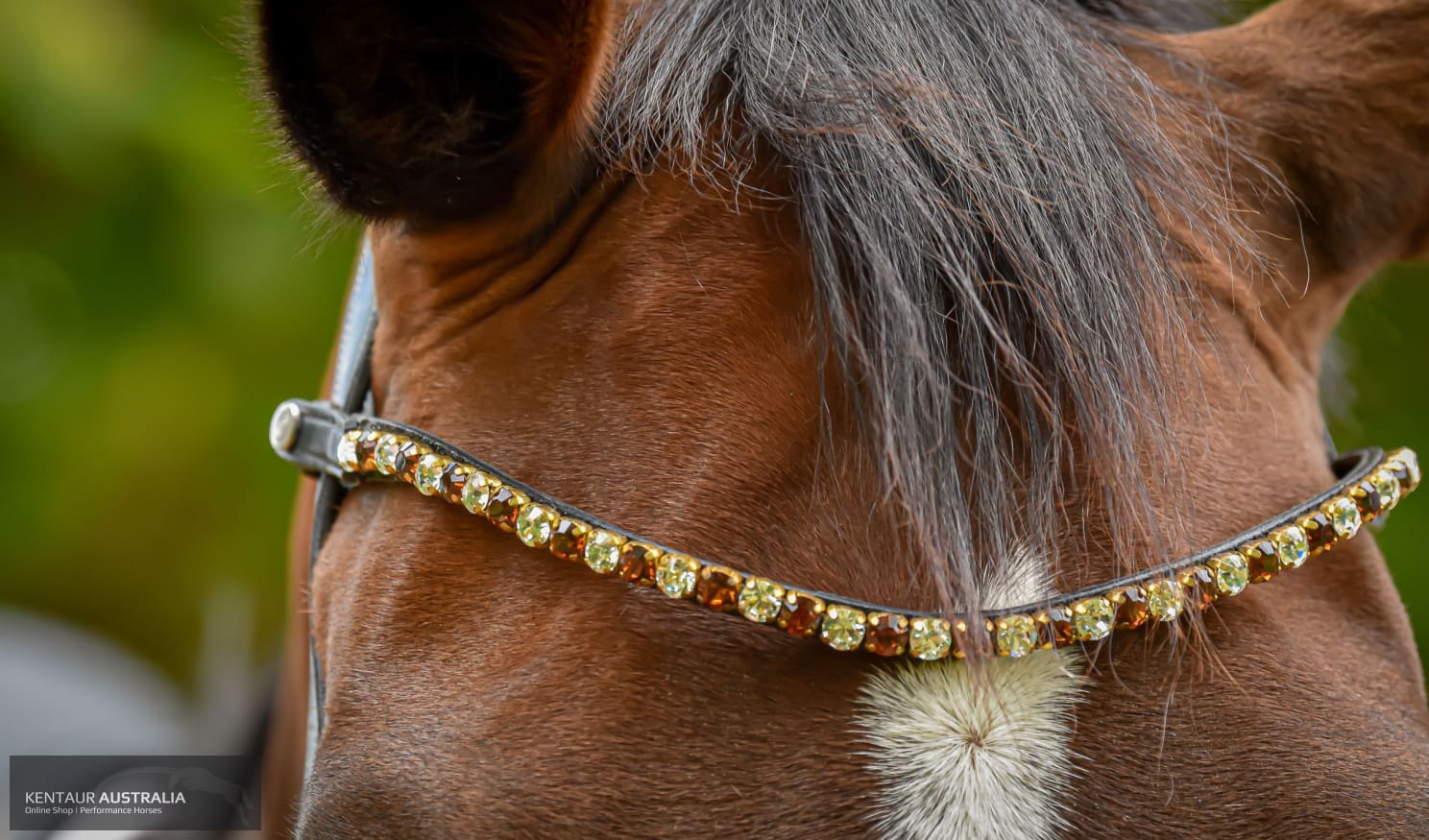 Montar ’Mighty’ Browband Bridles