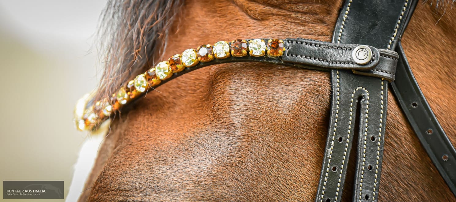 Montar ’Mighty’ Browband Bridles