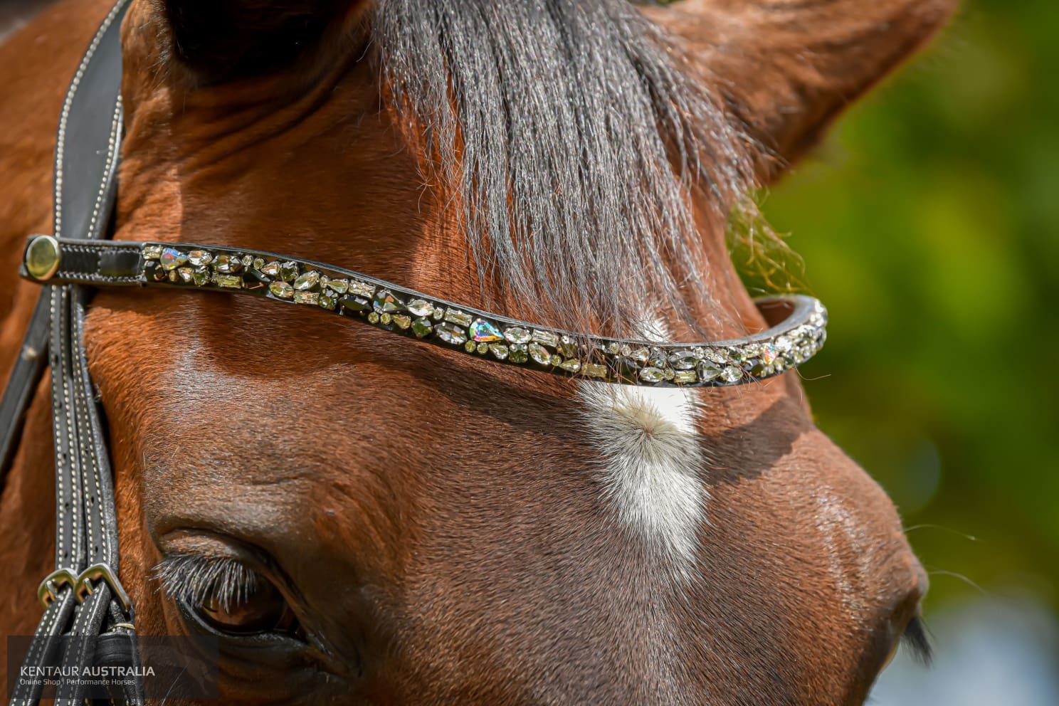 Montar ’Mighty’ Browband Bridles