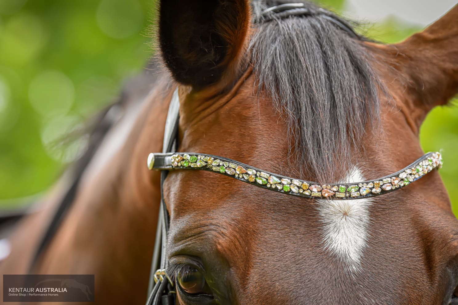 Montar ’Mighty’ Browband Bridles