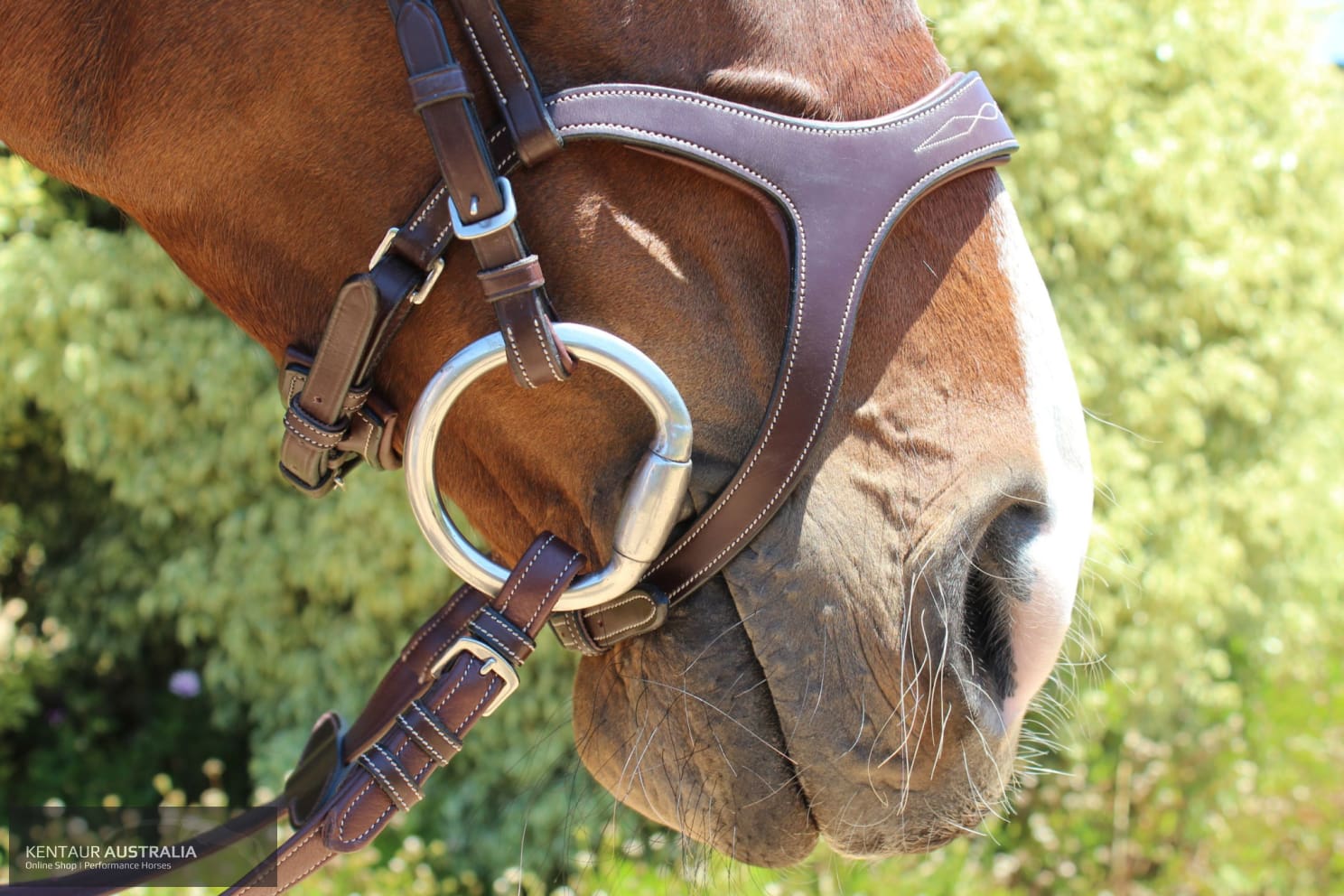 Montar Monarch Bridle Bridles