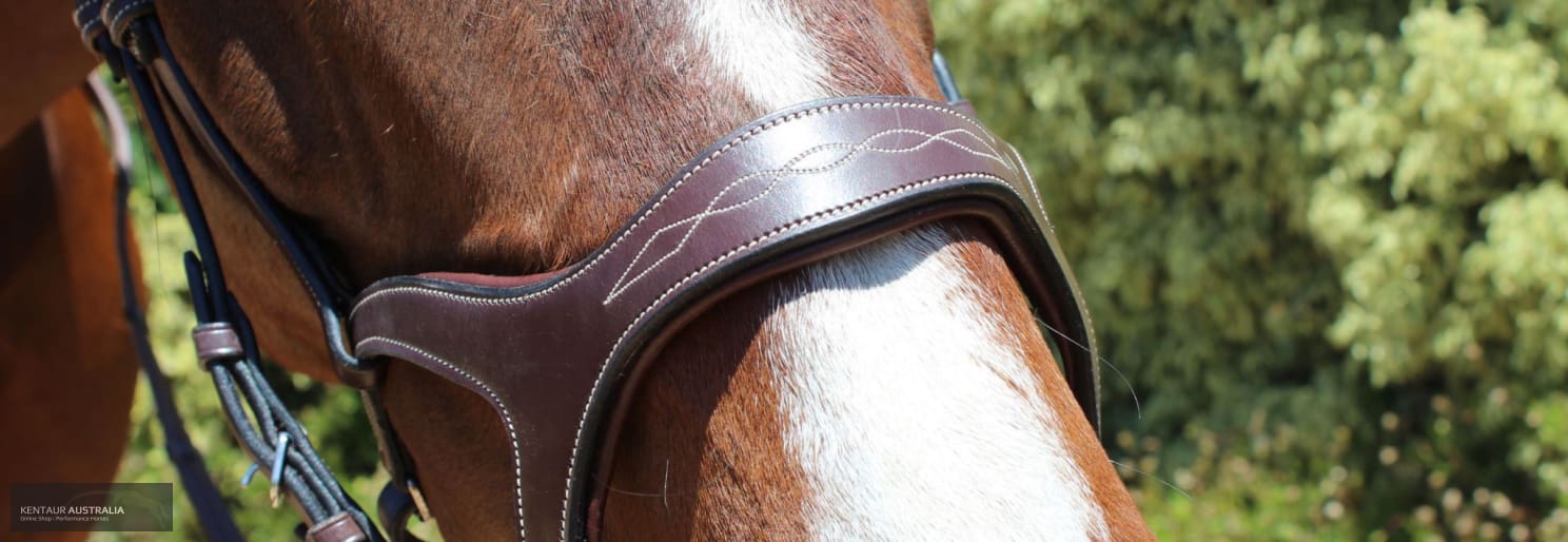 Montar Monarch Bridle Bridles