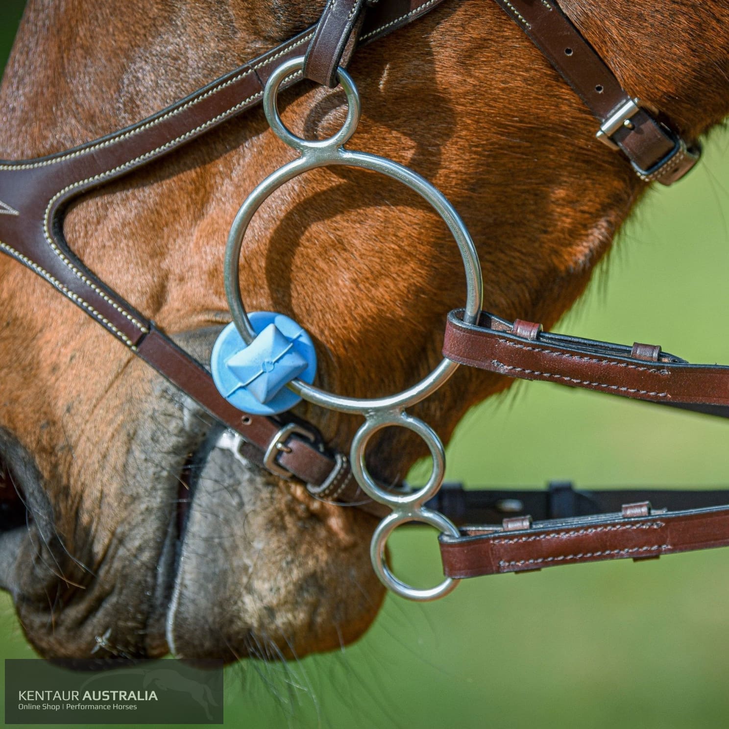 Poponcini Double Ring Gag Bit 4 (13.5cm) / Harmony 1 Bits