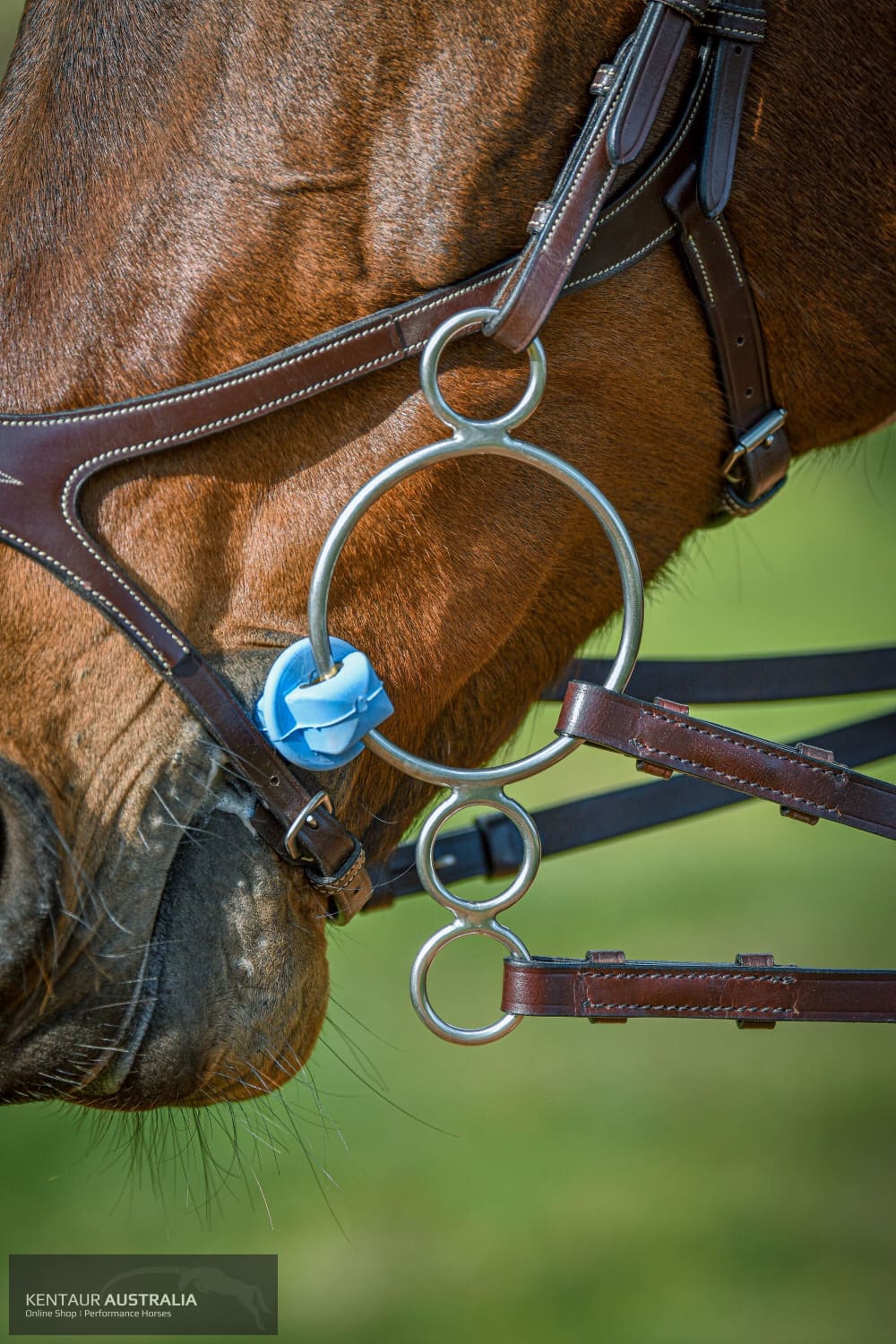 Poponcini Double Ring Gag Bit Bits