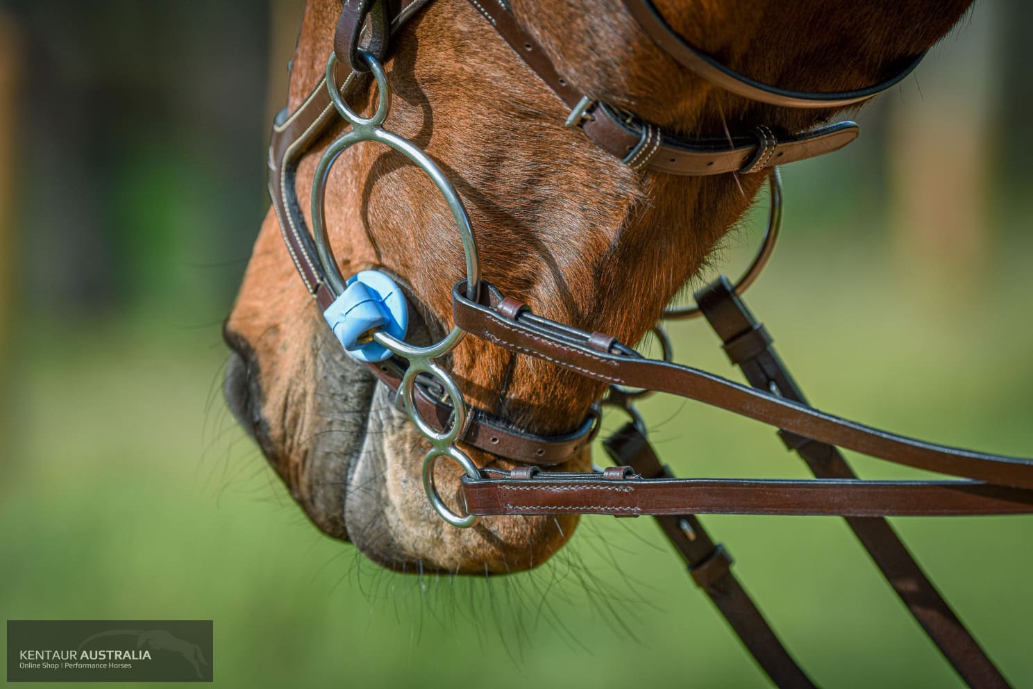 Poponcini Double Ring Gag Bit Bits