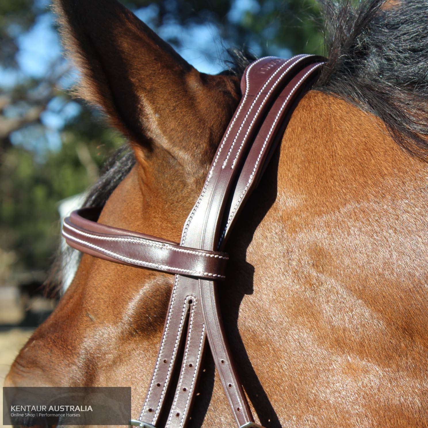 Silver Crown Arezzo Headpiece Bridles