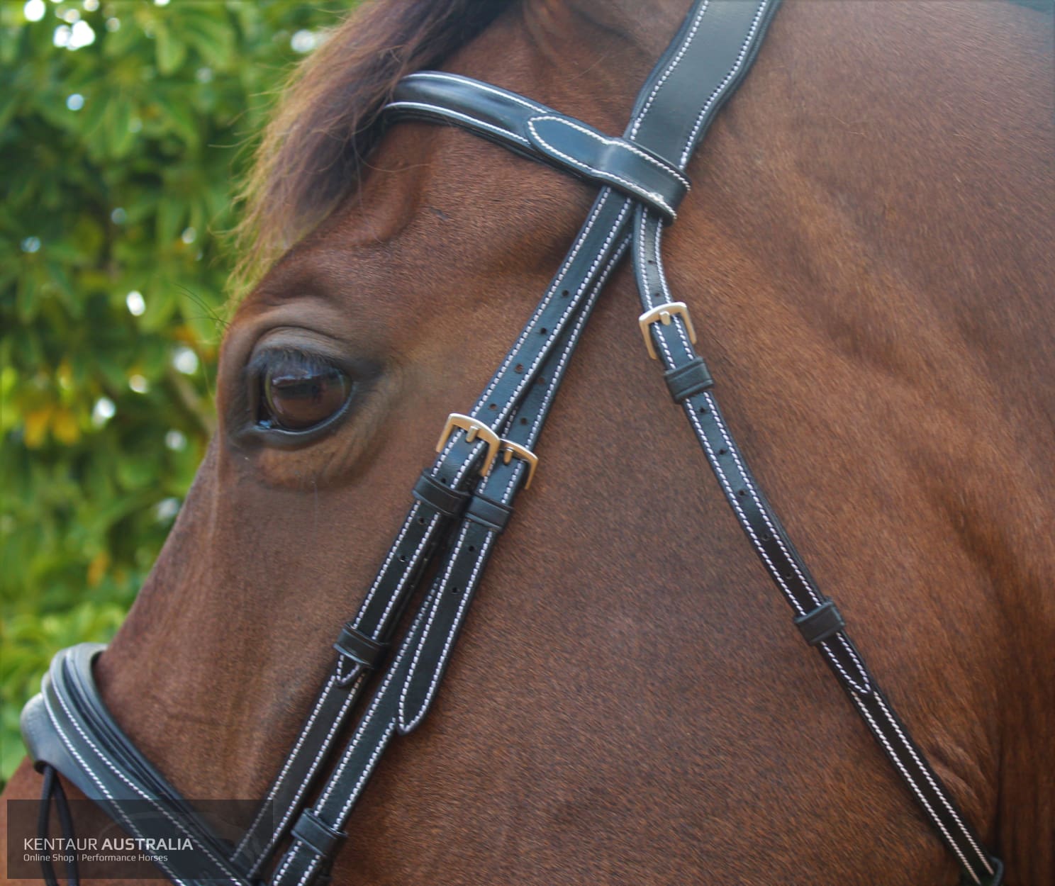 Silver Crown Doha Headpiece Bridles