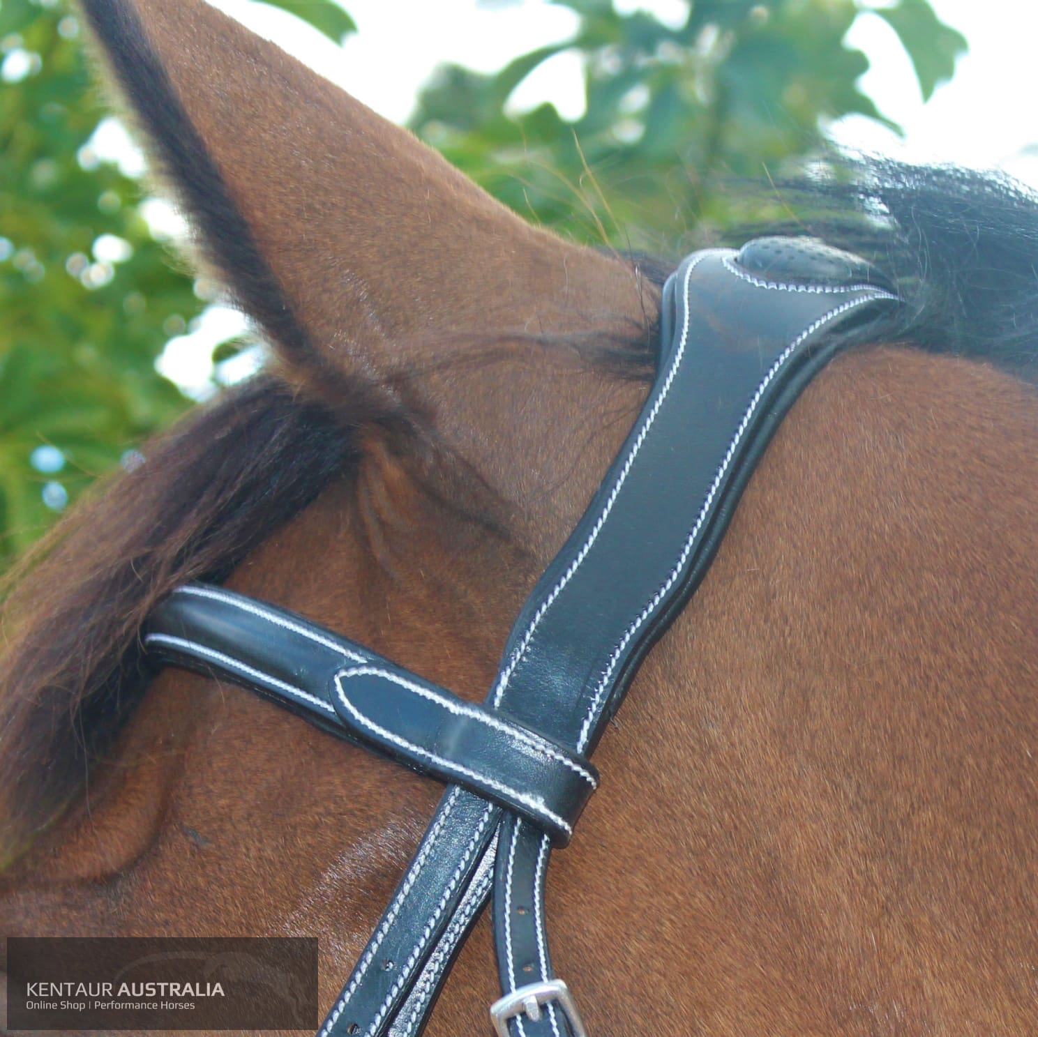 Silver Crown Doha Headpiece Bridles