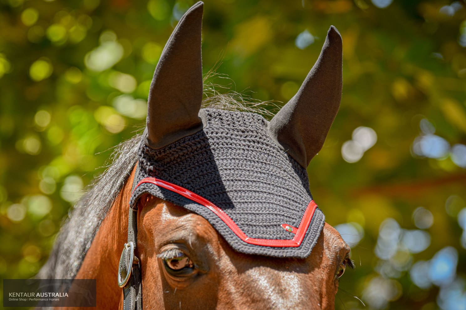 Silver Crown Ear Net Black with Red Piping Ears